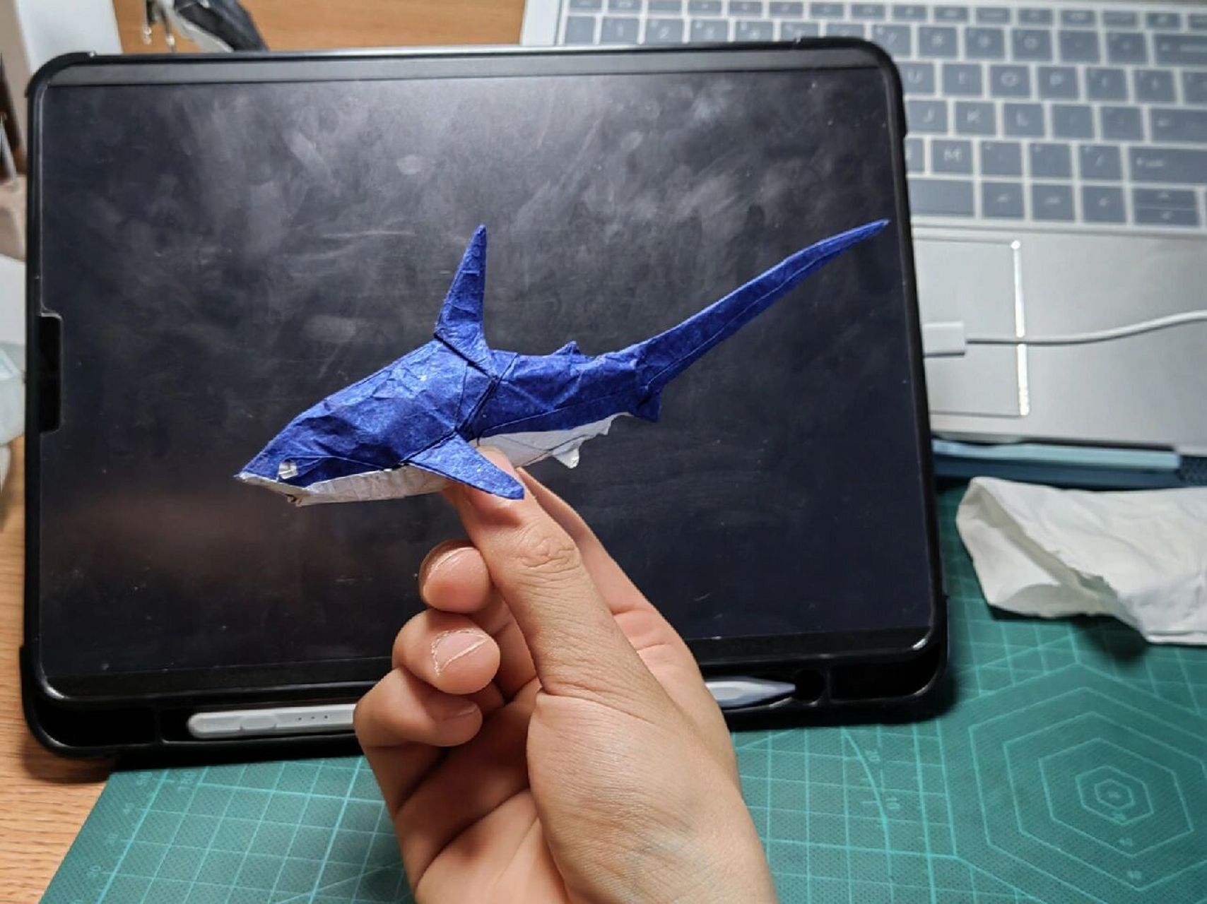 没有人能拒绝一只超酷的折纸小鲨鱼! 长尾鲨v1.