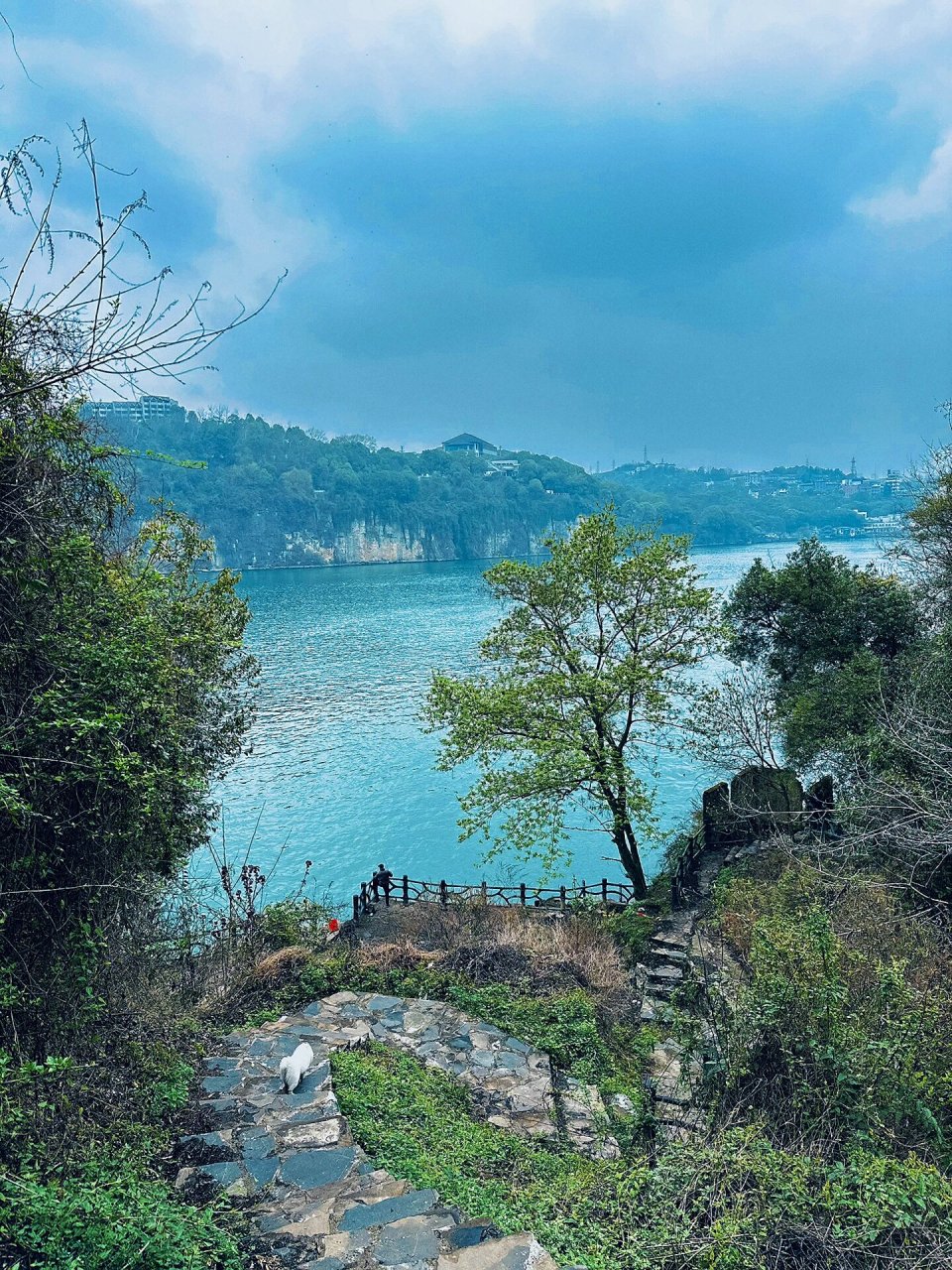 宜昌牛扎坪风景区图片