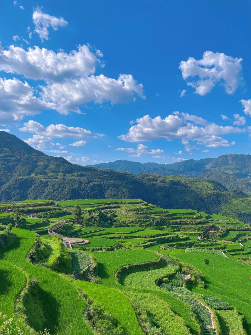 丽水青田县小舟山绝美!