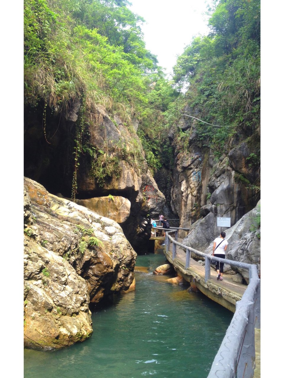 四川广安邻水县天意谷景区 天意谷,原名华蓥山大峡谷,位于华蓥山主峰