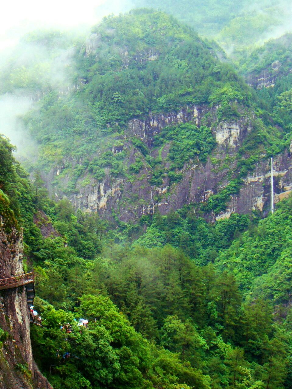 夏日避暑游|福建宁德鸳鸯溪景区 炎炎夏日去哪玩,如果去福建的话,推荐