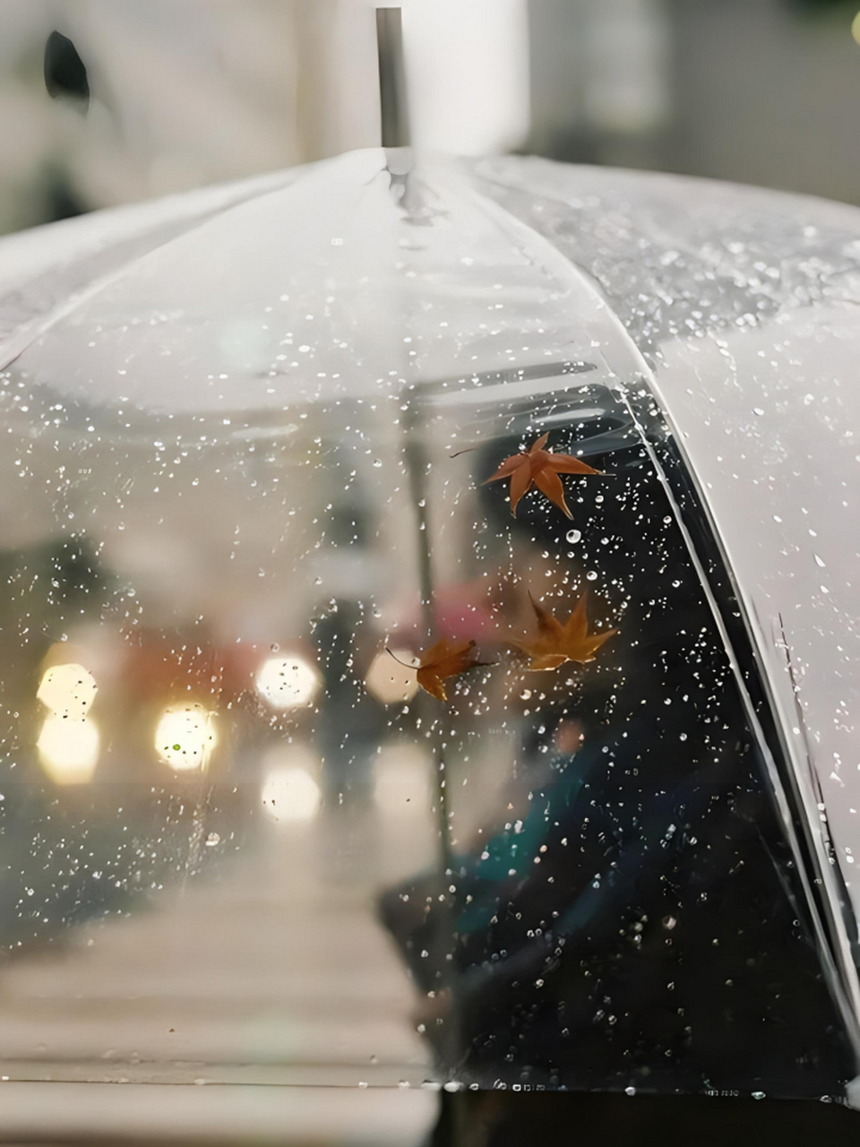 雨天图片 分享一组伤感并且高级感满满的下雨天图片97 很适合做背景