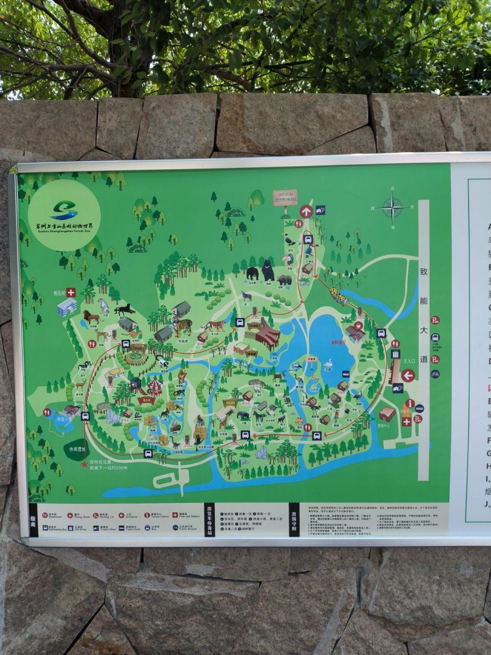 地点:苏州上方山森林动物世界 门票成人60元/人 79逛动物园zoo日记