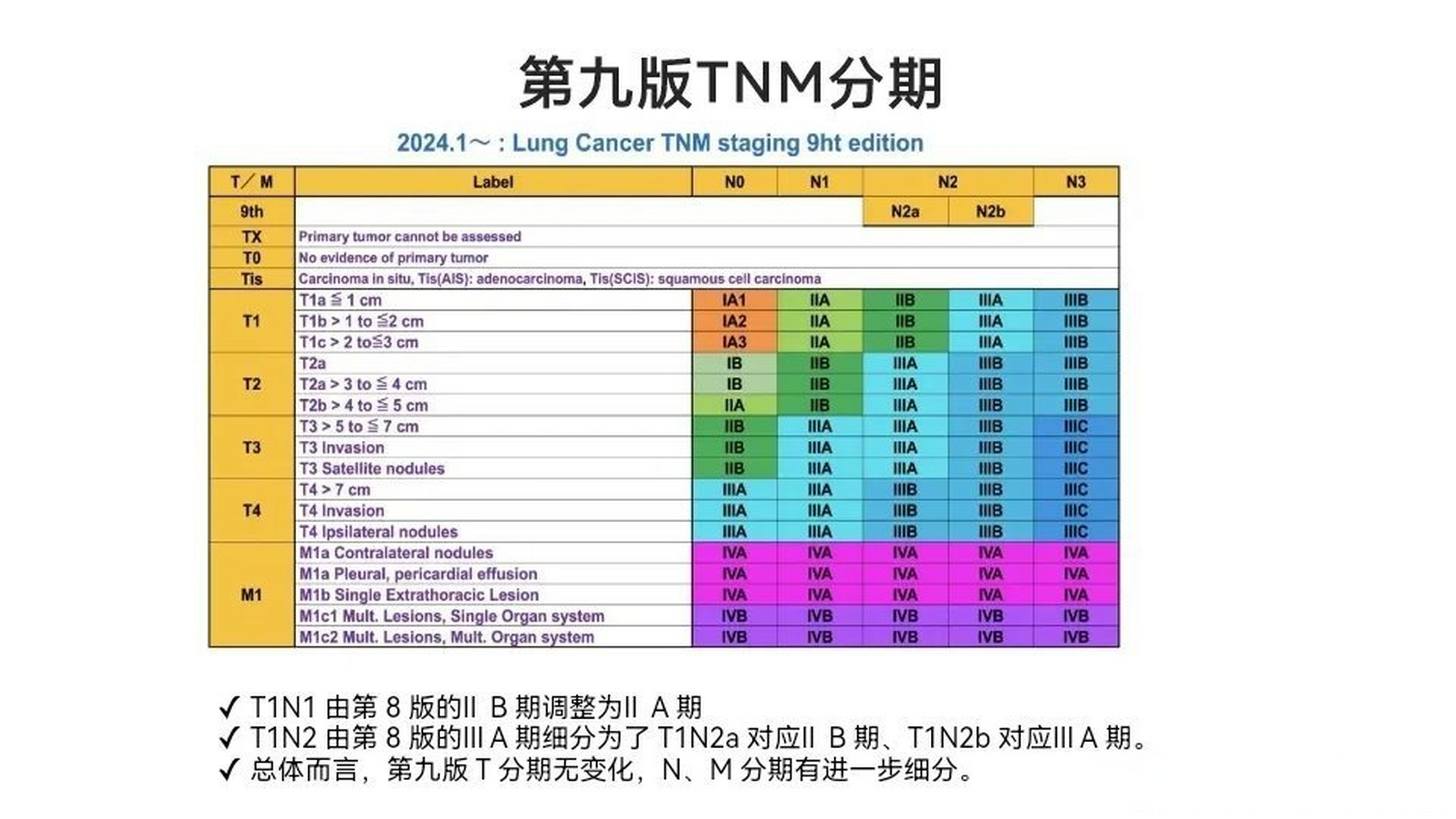 肺癌tnm分期第9版图解图片