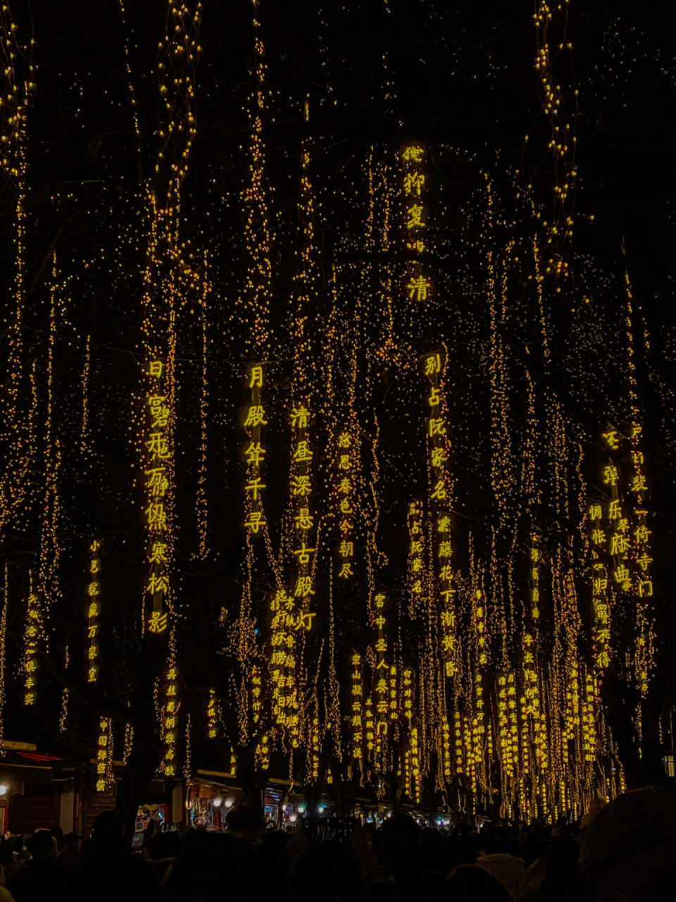 总要来趟西安6015漫步诗词路 感受长安的诗意 西安的年味又回来了