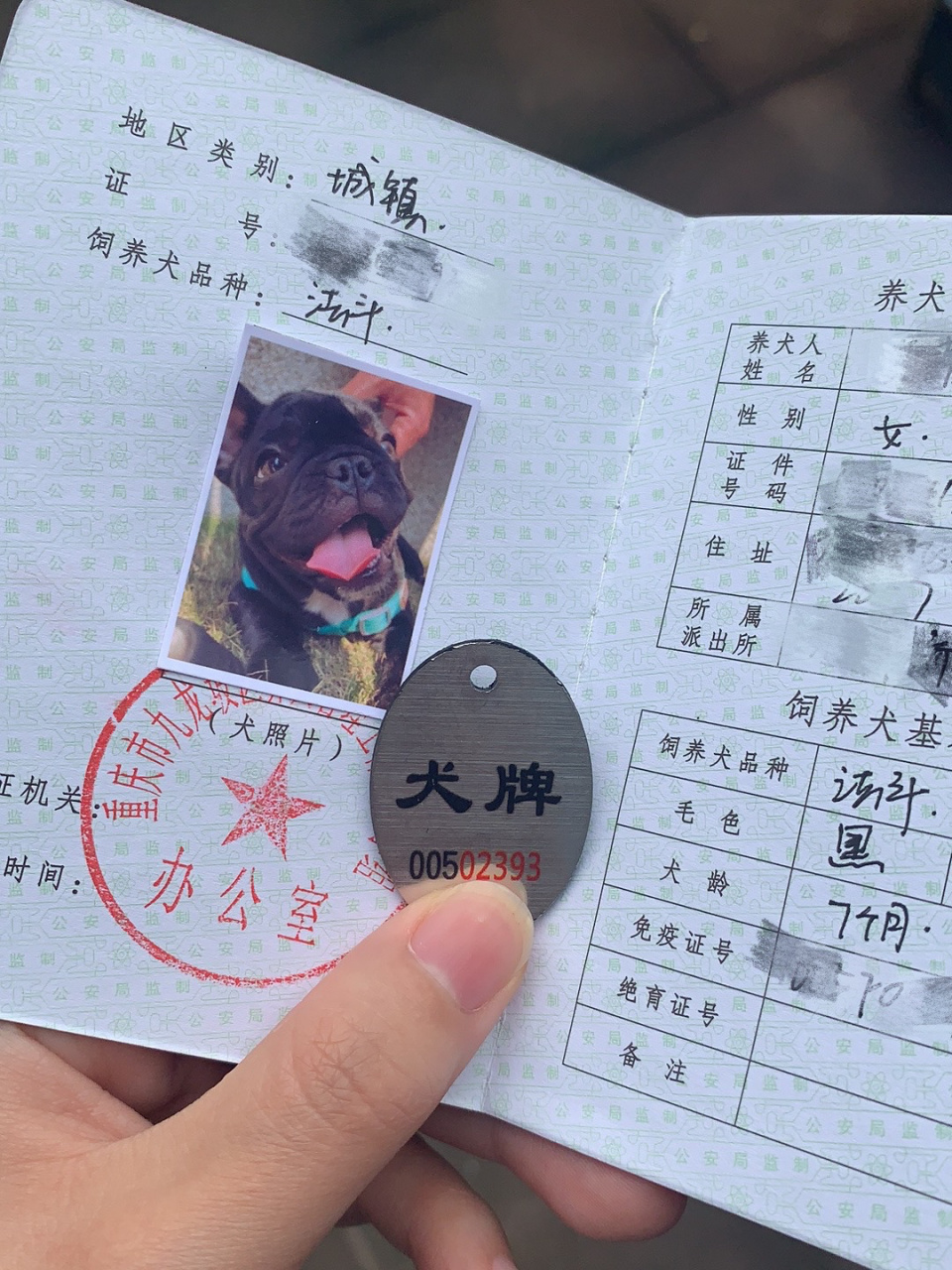 重庆狗证办理详细攻略 | 法斗 从很早之前就有步行街开始捕狗的新闻