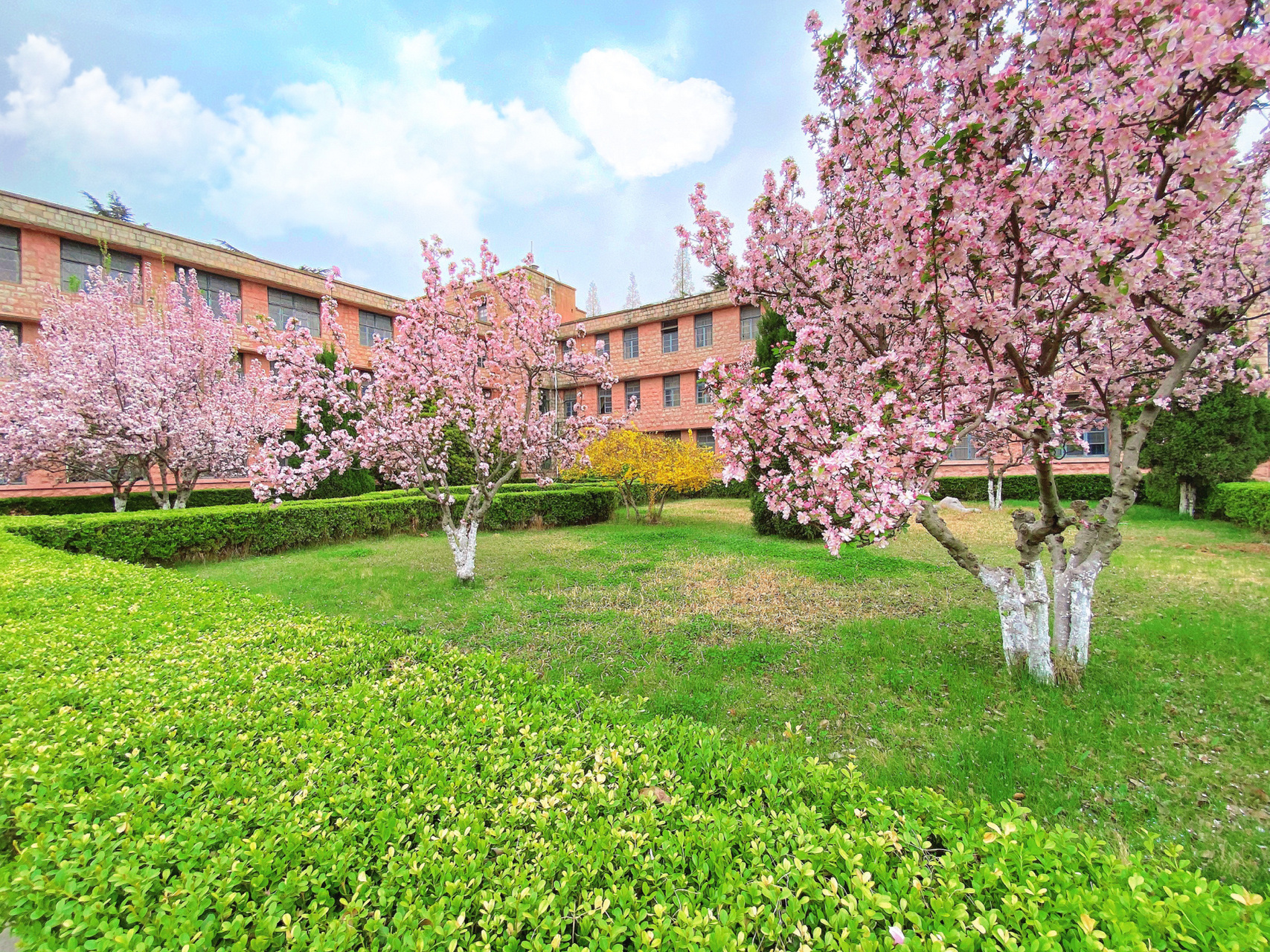 临沂大学费县分校食堂|(面)篇 说到临沂大学大家应该都不陌生吧,但是