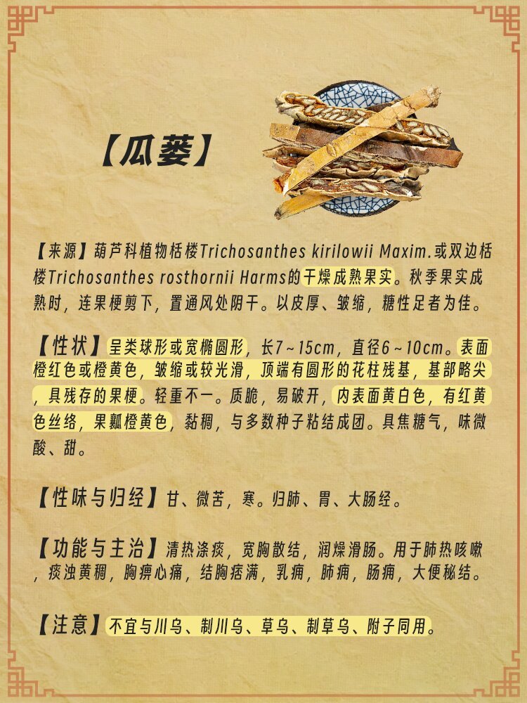 苦瓜娄的药用价值图片