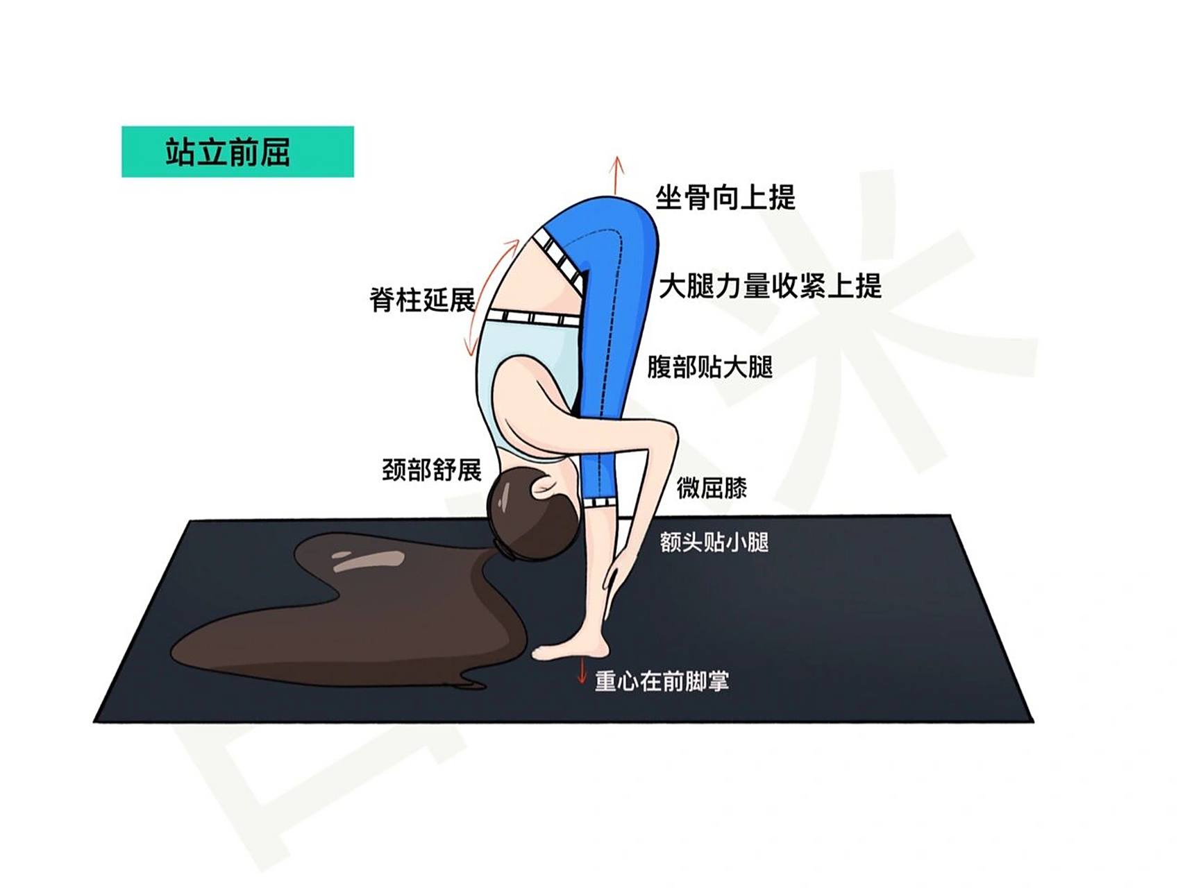 瑜伽插画|瑜伽体式精讲—站立前屈(持续更新) #一起来瑜伽# #插画