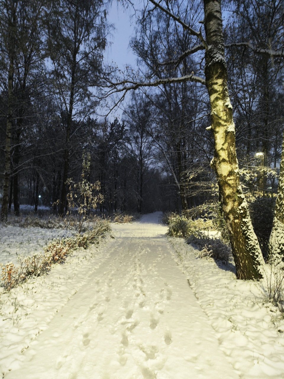 莫斯科雪景实拍图片