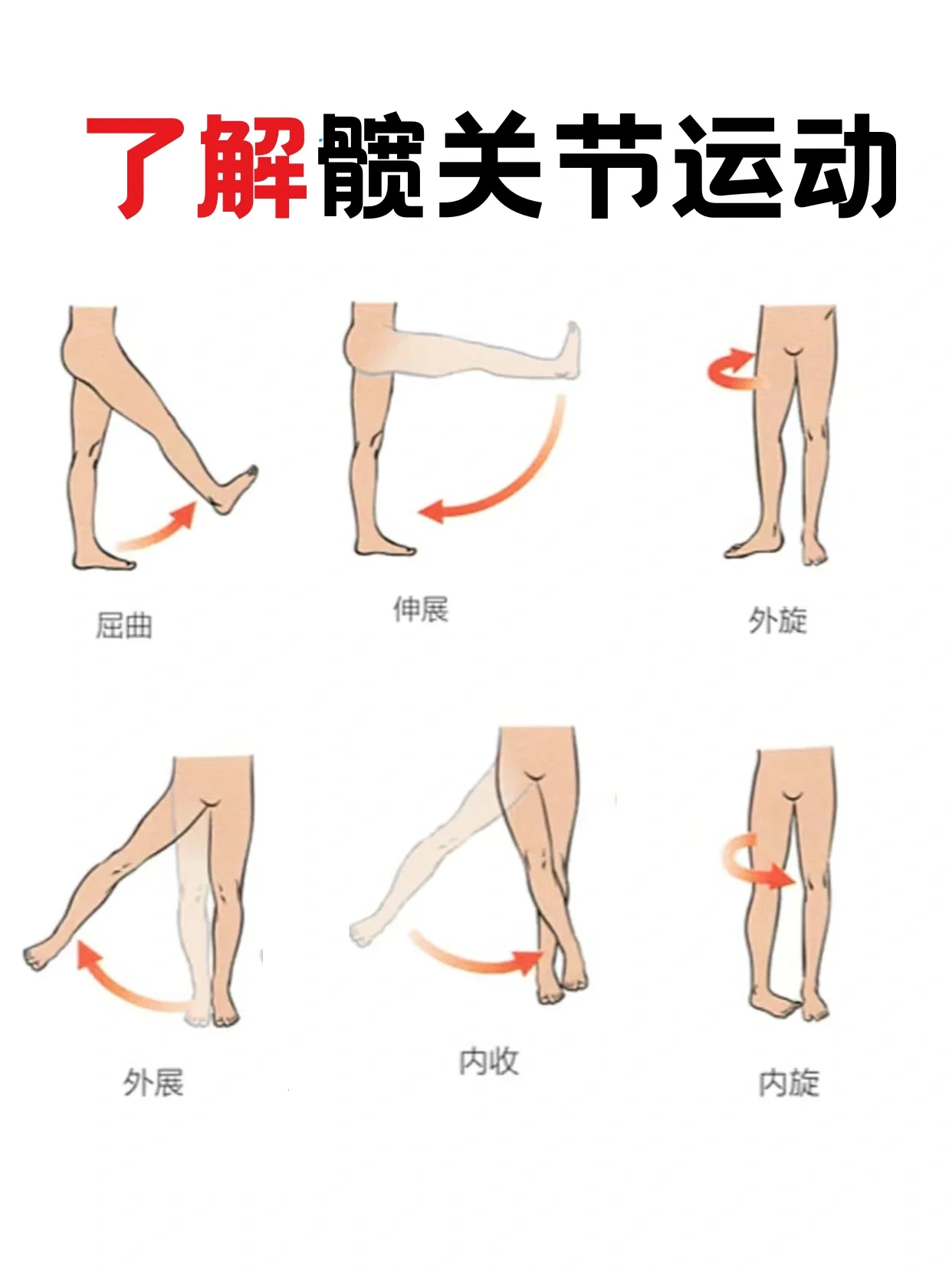 了解关节运动