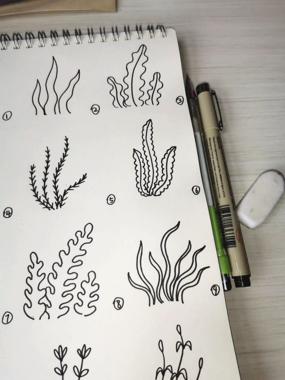 海草怎么画简单又可爱图片
