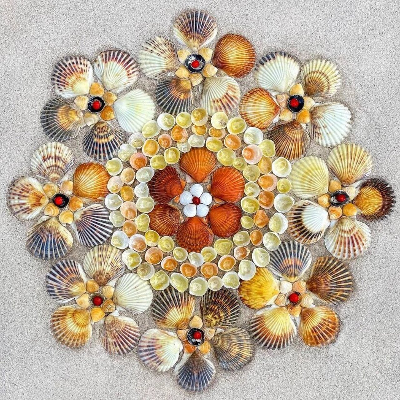 贝壳拼贴画 艺术家安娜anna chan利用贝壳拼贴出特别的拼贴画.