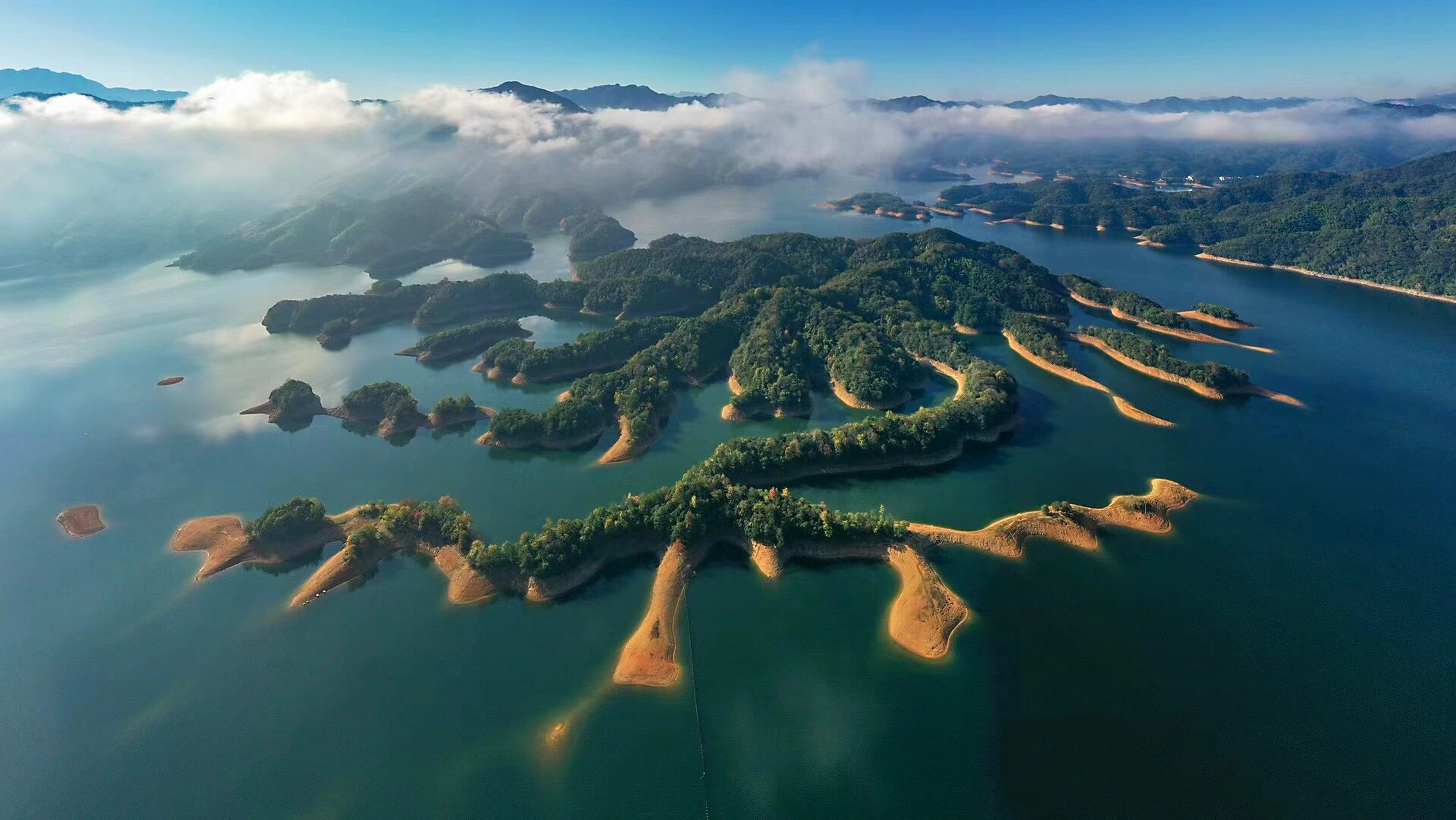 黄山区龙门乡图片