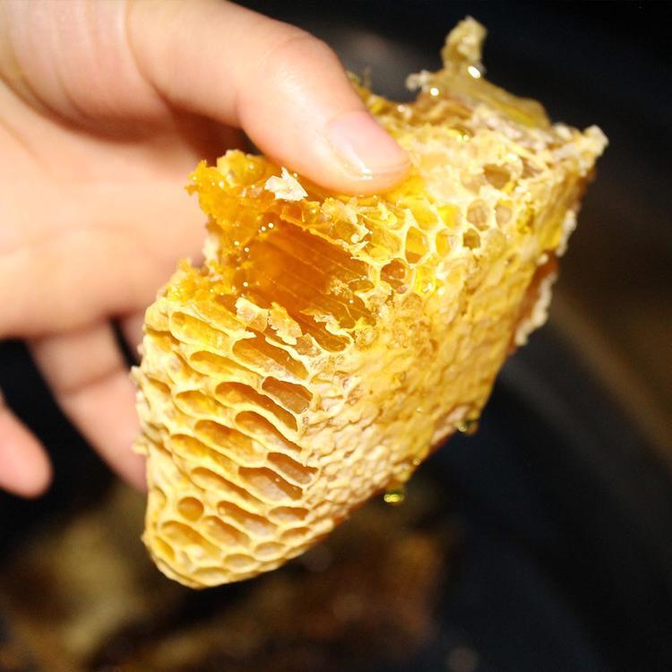 野生蜂蜜有毒是不是不能吃(野生蜂蜜安全吗会不会采到有毒的花)