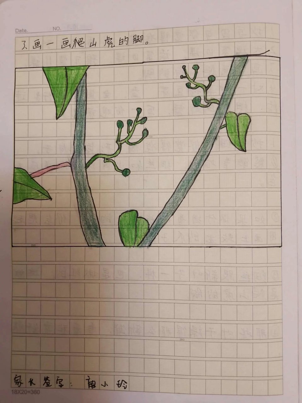 画一画爬山虎的脚