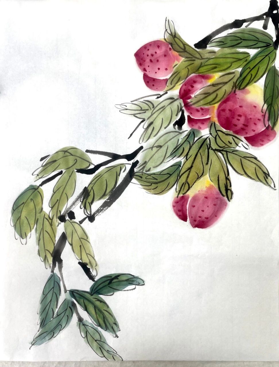 国画练习 day19写意桃子   桃树的树干颜色为暗红褐色,老时粗糙呈鳞片