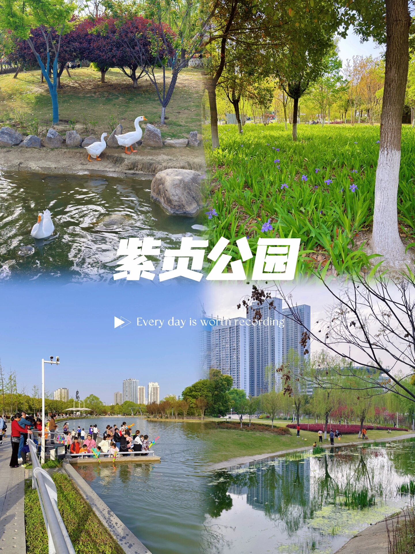 襄阳去哪玩|来紫贞公园,收录春天的小美好5304