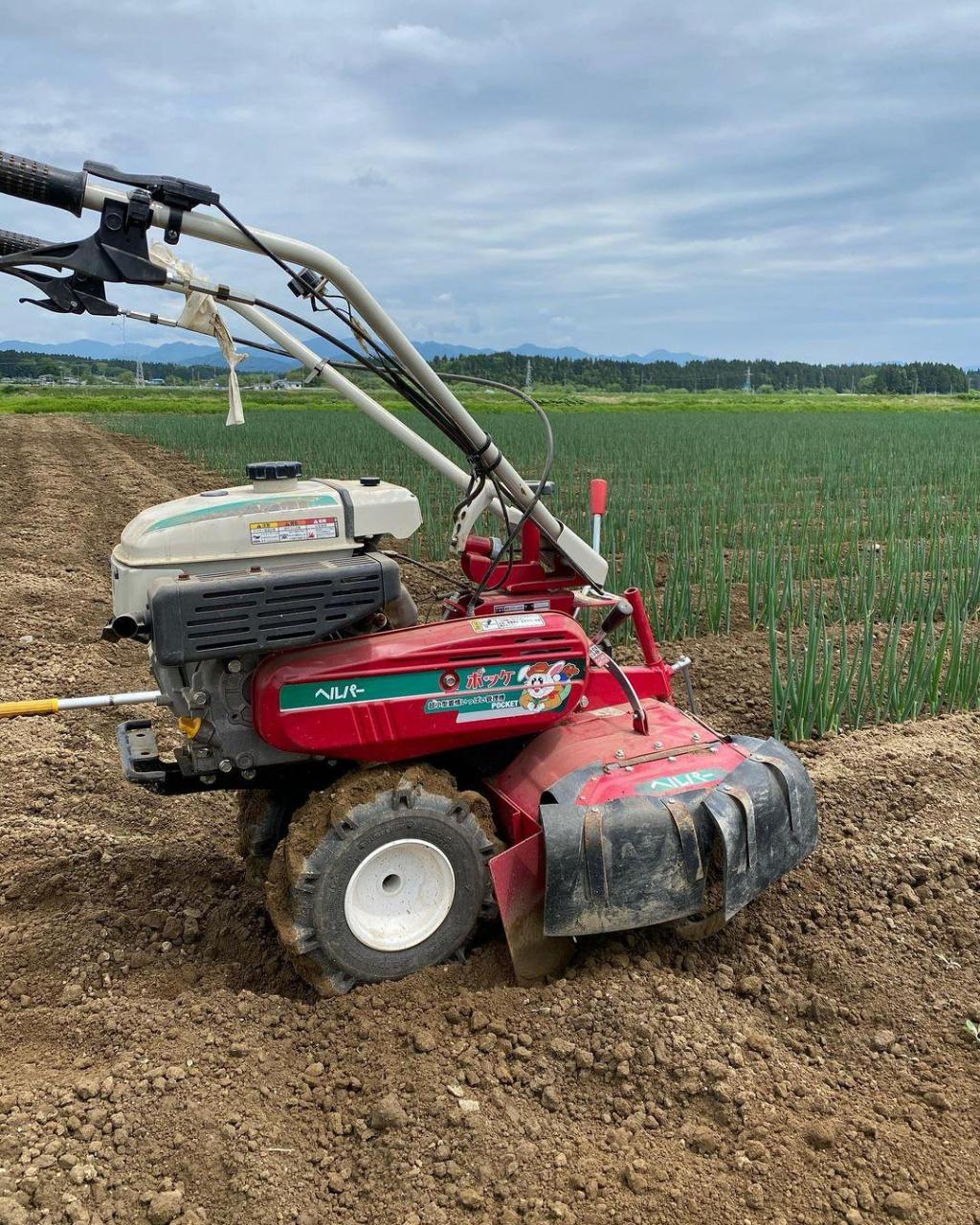 还是选择人工进行除草?所以生产效率低下.
