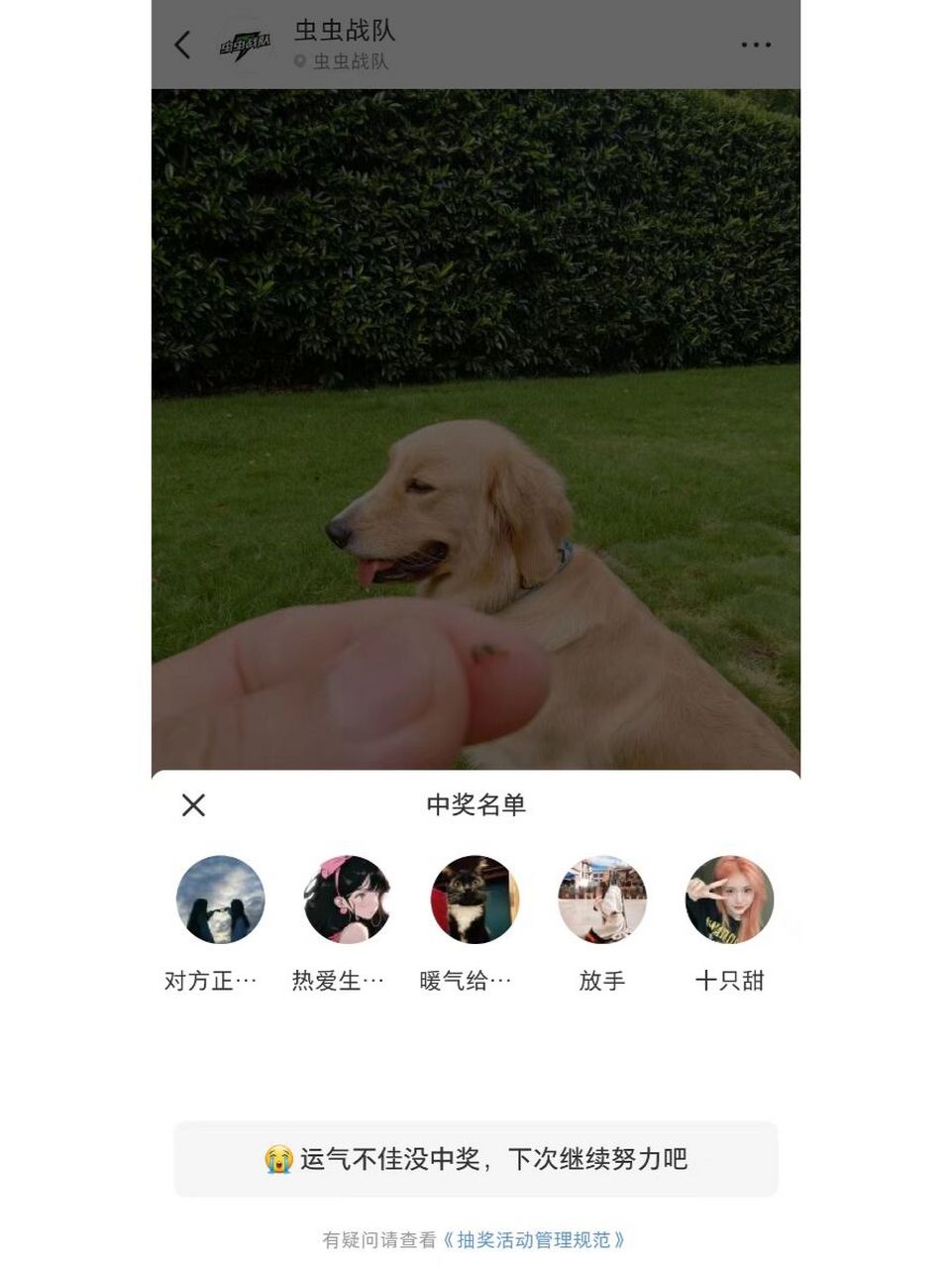 中奖通知 如图 有5位可爱的小红薯们中奖了.