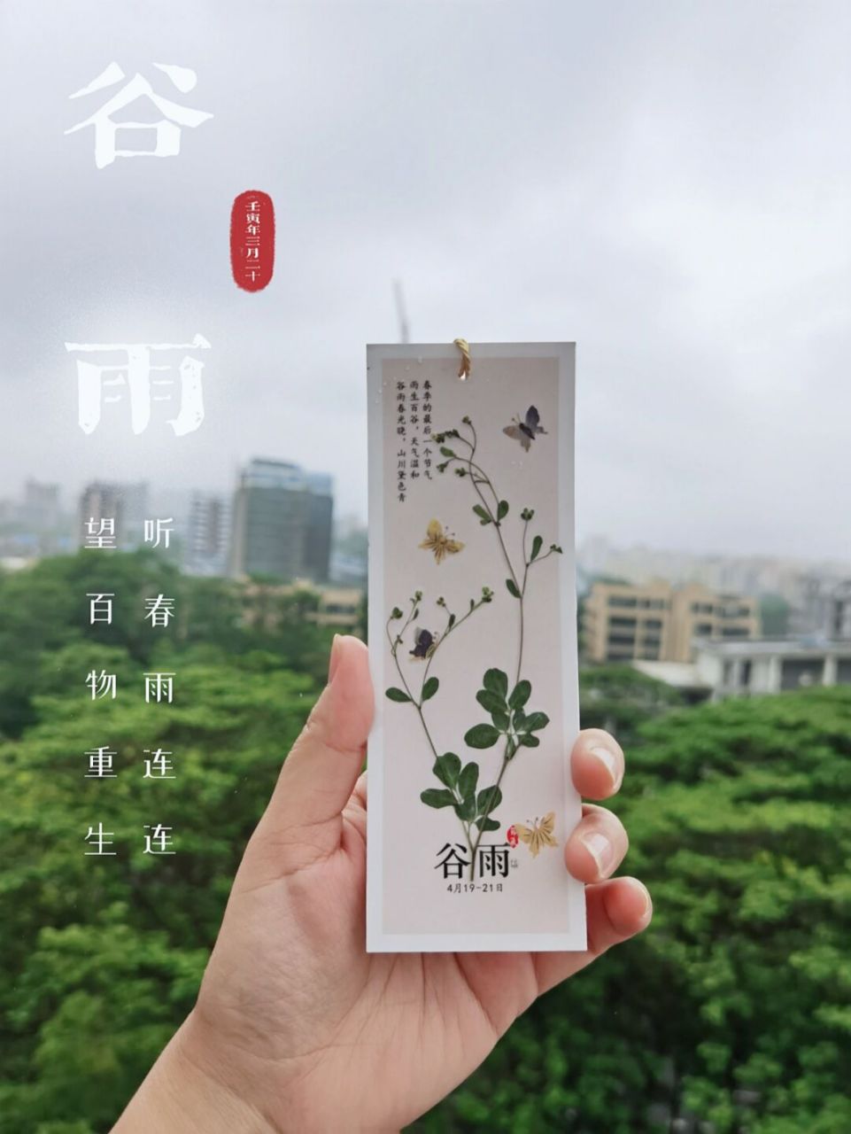节气书签|植物押花|谷雨 雨生百谷,万物生长,这次用野草代表万物生机