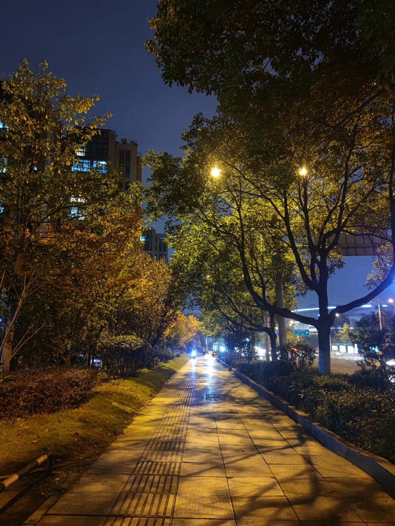 夜晚的长沙也很迷人Ⅱ路灯拍照氛围感满满