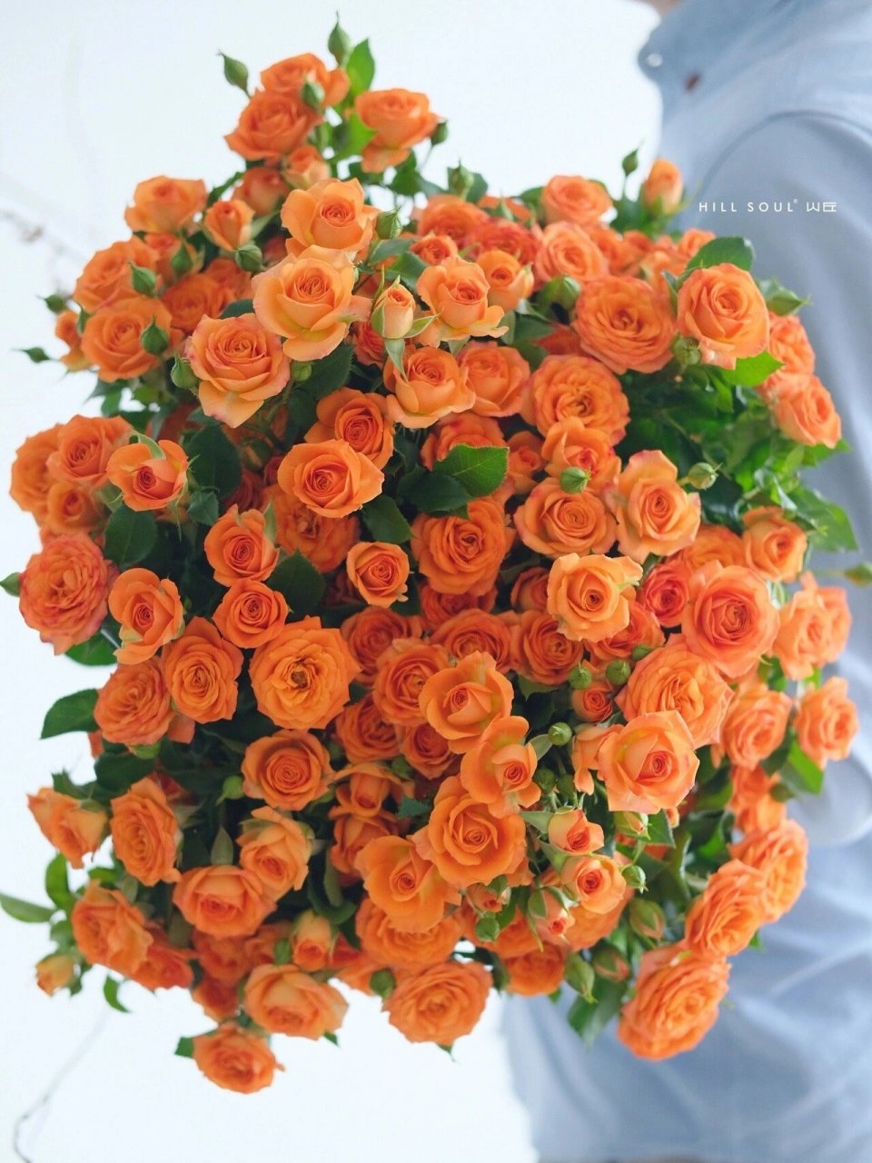 a级橙色芭比多头泡泡玫瑰太漂亮了 橙色芭比的花语是我爱的是你,神秘