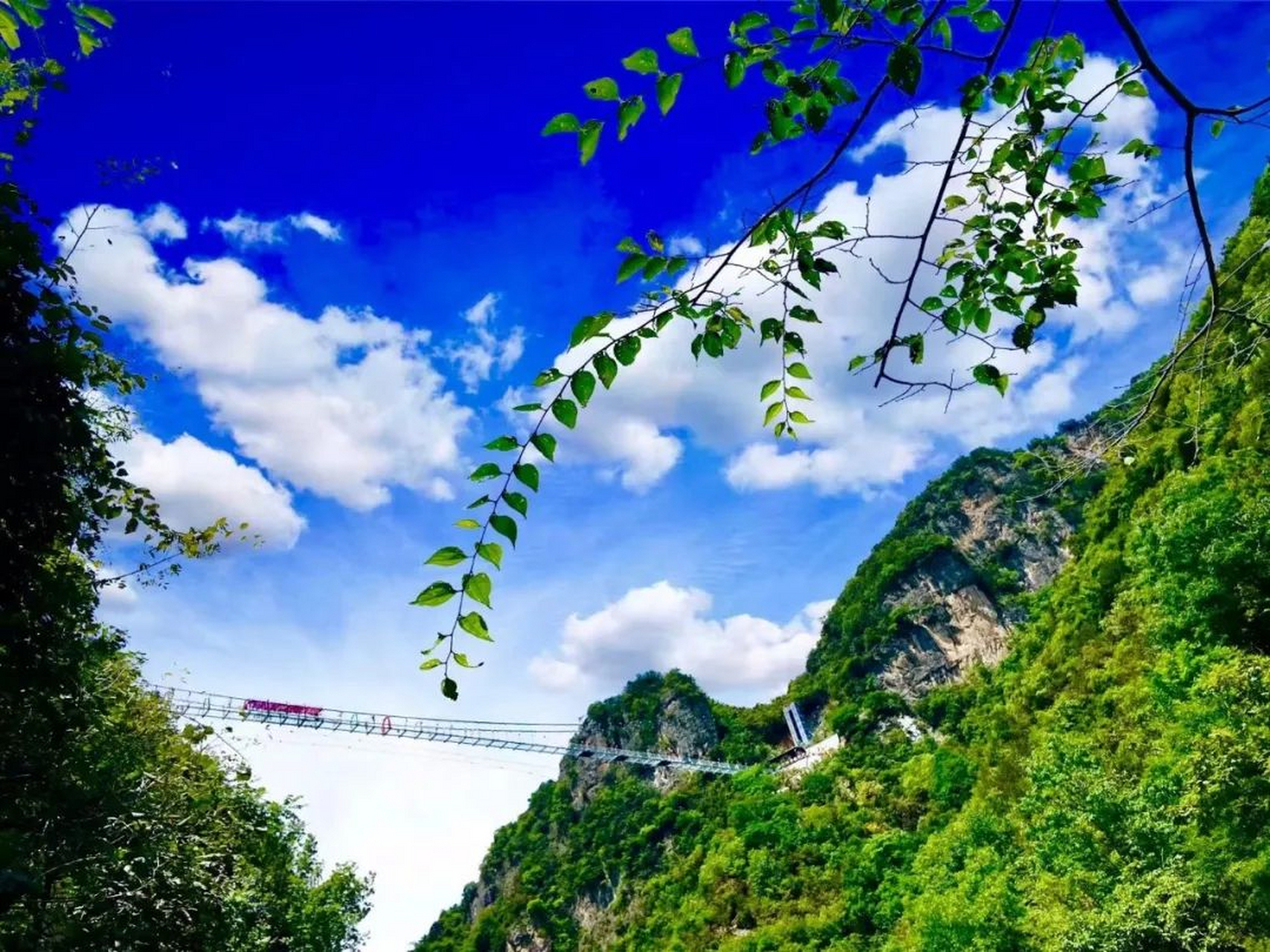 十堰五龙河景区 发放九月福利啦】九月,是回报的季节,老师,是这季节的