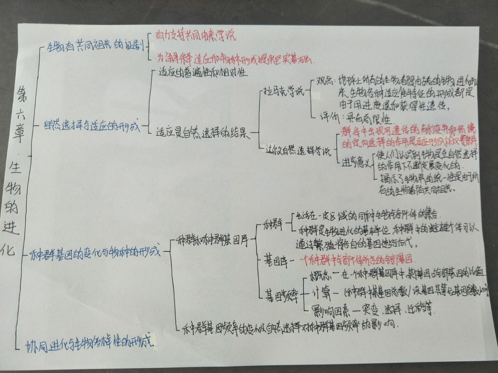 必修二【生物的进化】思维导图