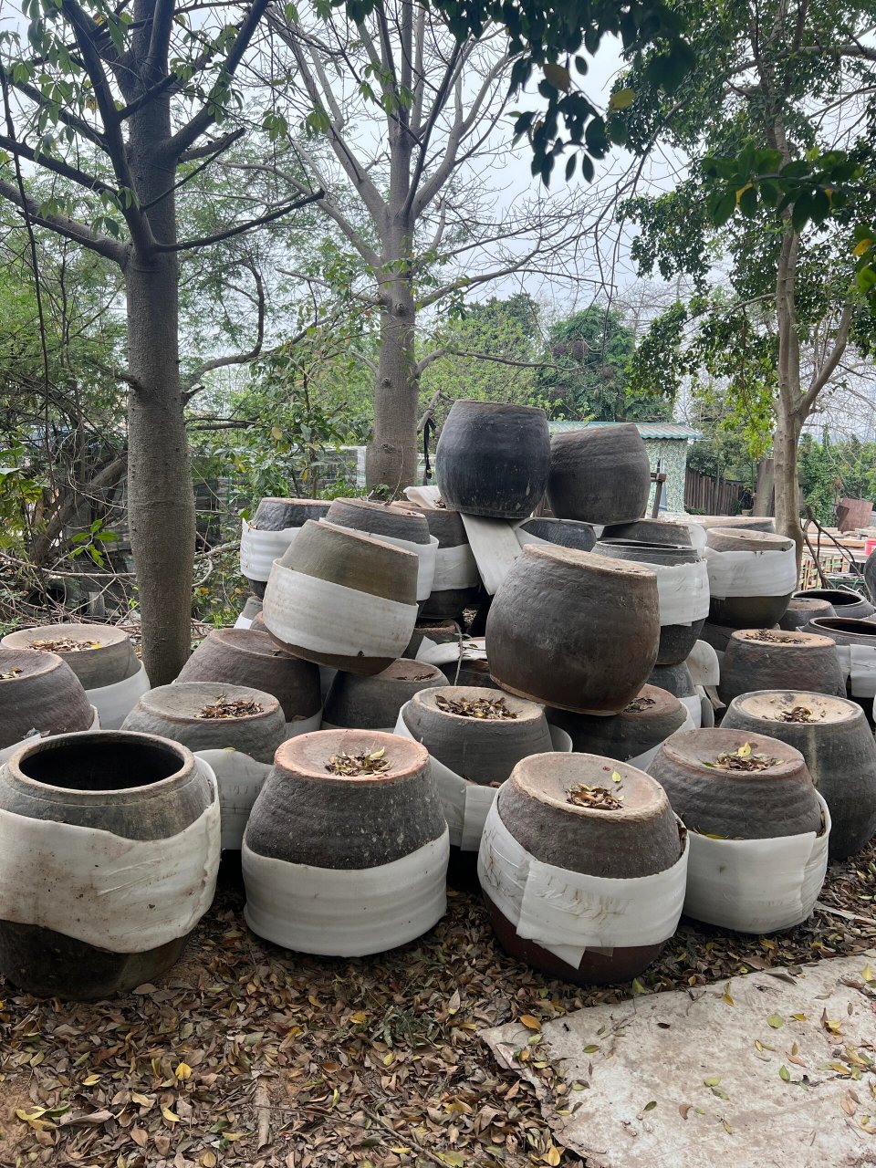 古代陶土罐/老瓦罐 小时候家家户户都有的瓦罐,腌制泡菜,储存干货