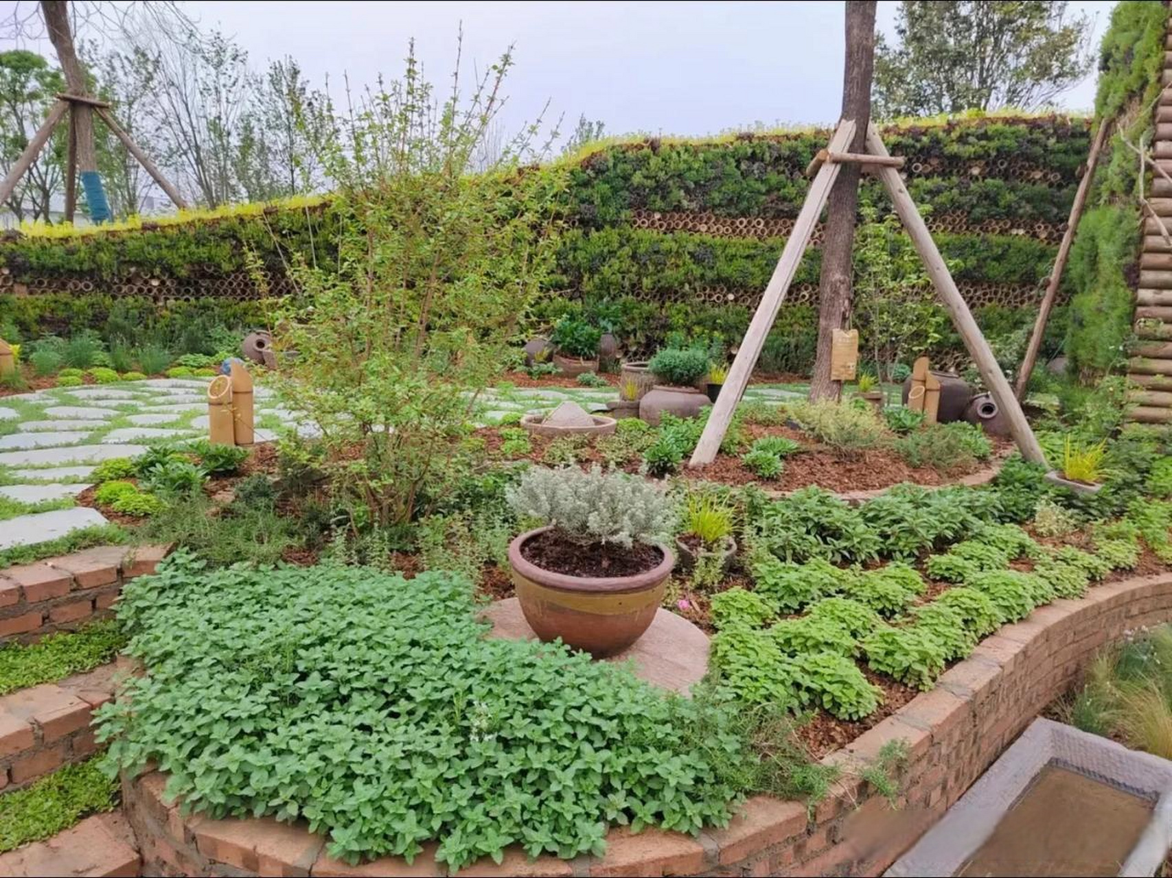 露天立体种植图片