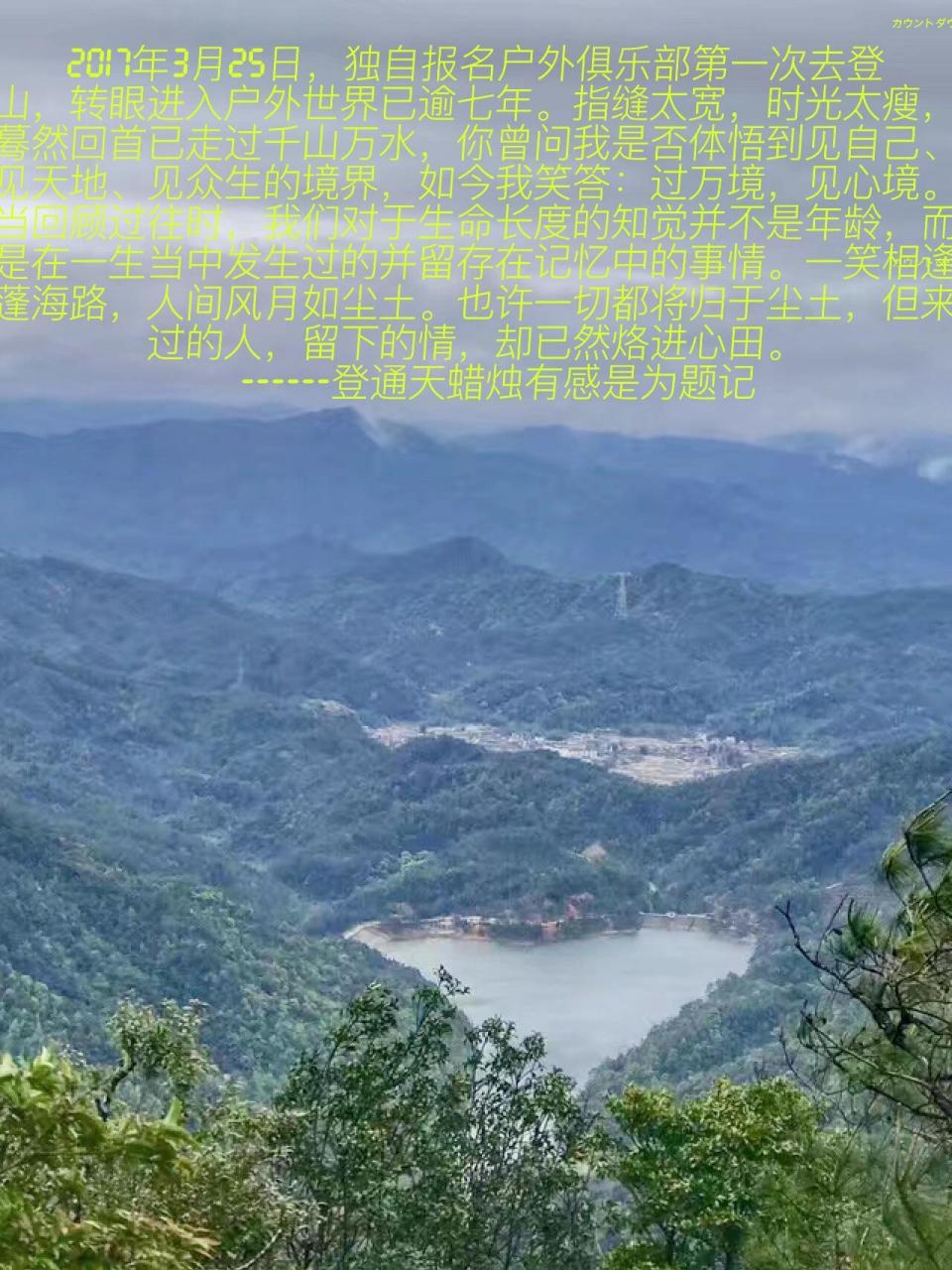 通天蜡烛 丨 缘起山花烂漫时 通天蜡烛位于广州从化石明村,每年三月到