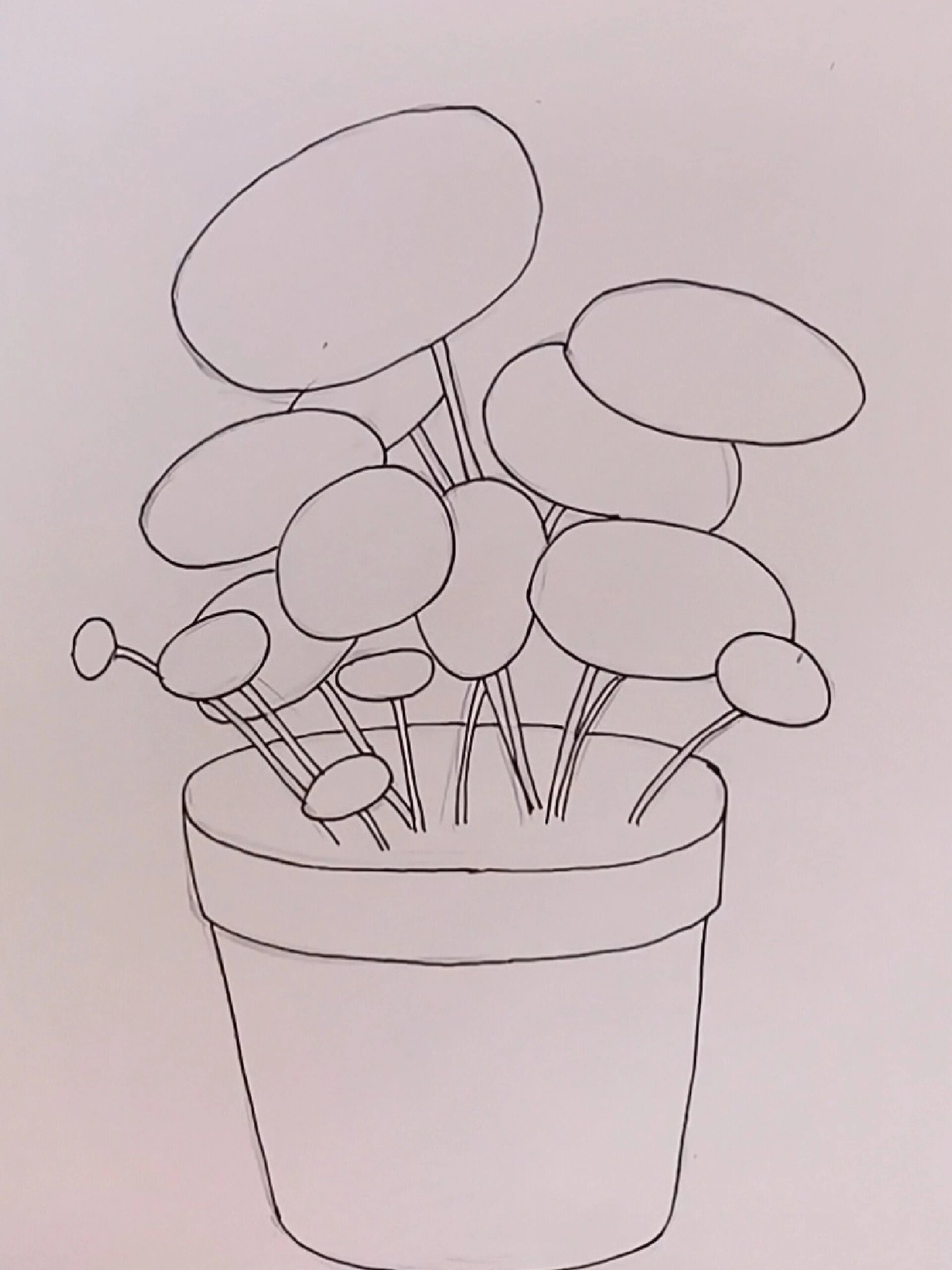 团圆的铜钱草|儿童创意画