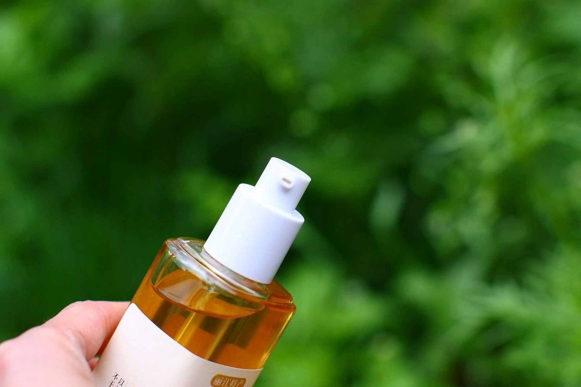 中国独有,世界唯一,云南特产:野生青刺果 我们的野生青刺果油,它唯一