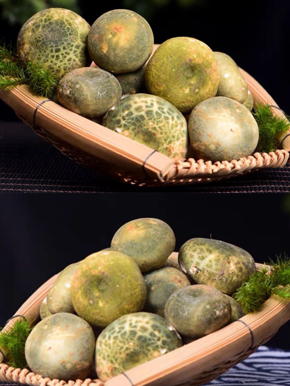 云南山珍二【青头菌·最家常是我96】 每天我们都在寻找美味可口的