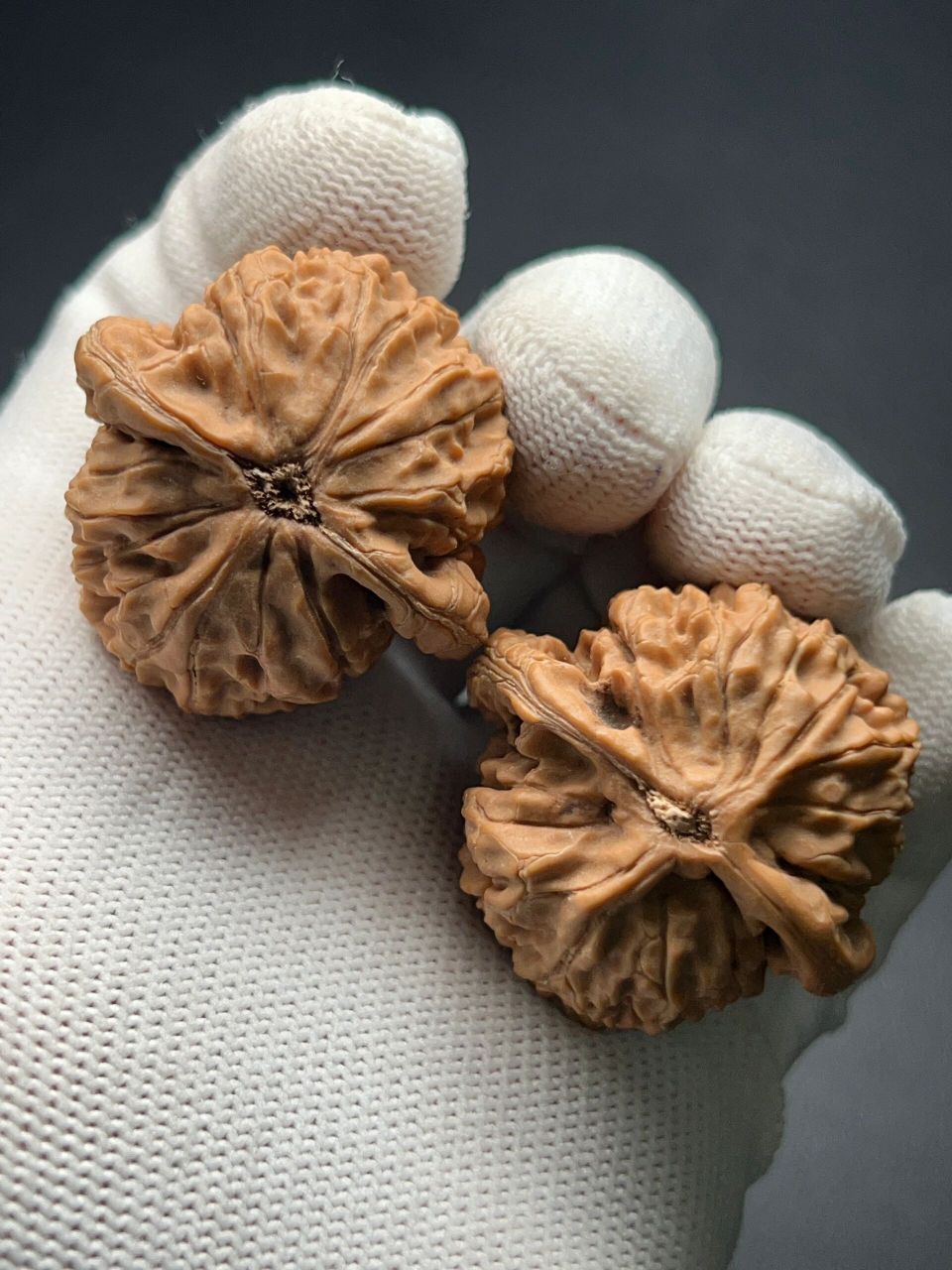 一代老款水龙纹狮子头(没有关注无效) 尺寸:37.5-35.5-40(三手有效) 