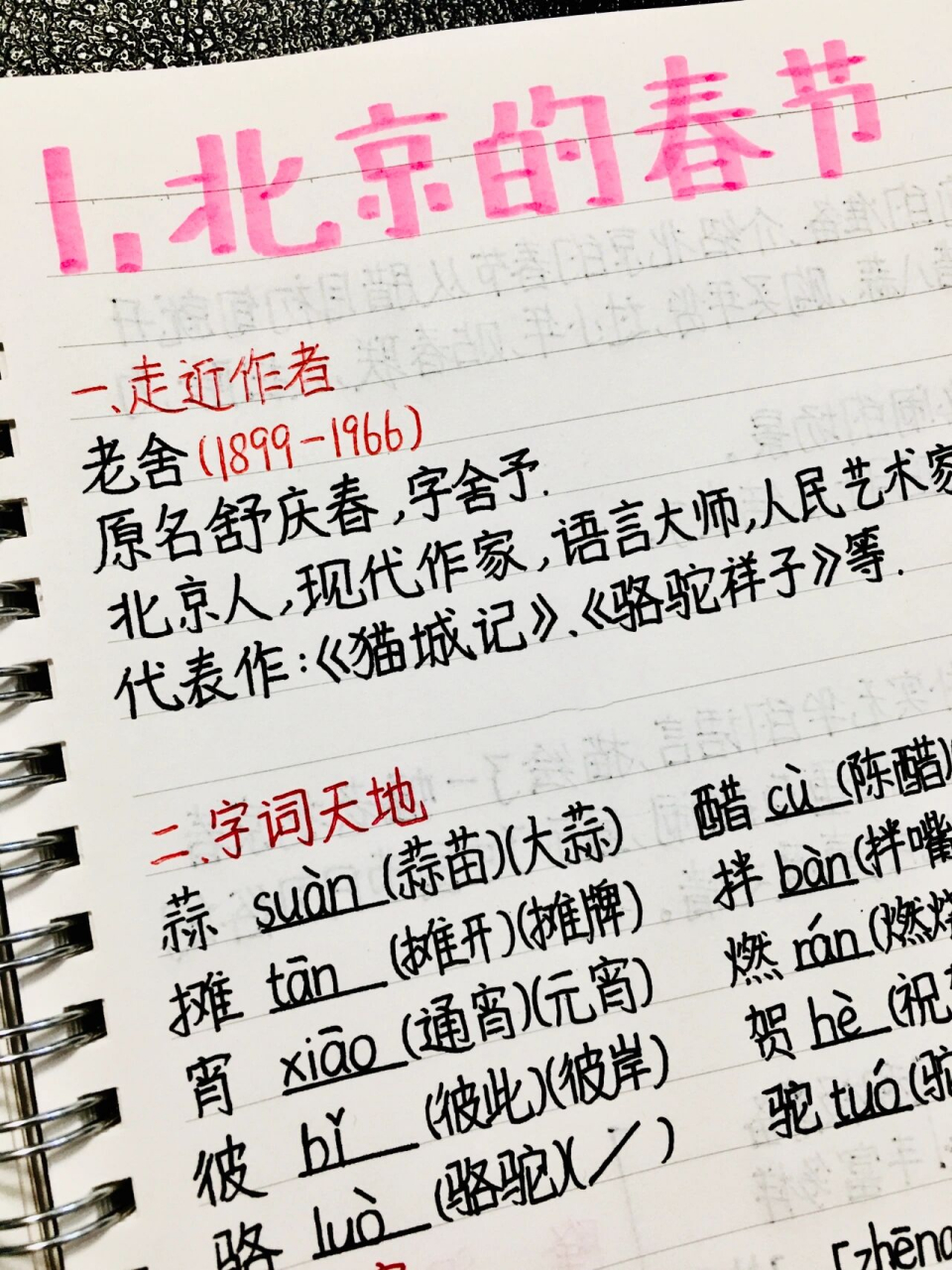 六年级下册语文预习笔记第1课 《北京的春节 全灵同款文具和图书95