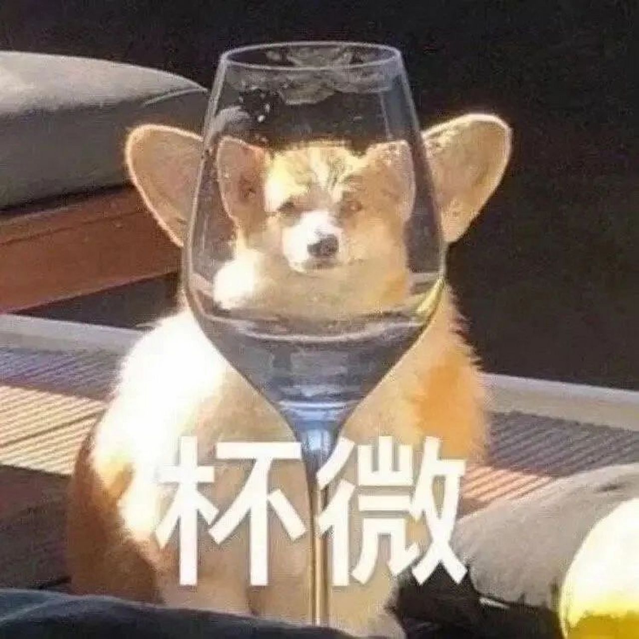 7815填问卷专用表情包 谁不爱中国美女