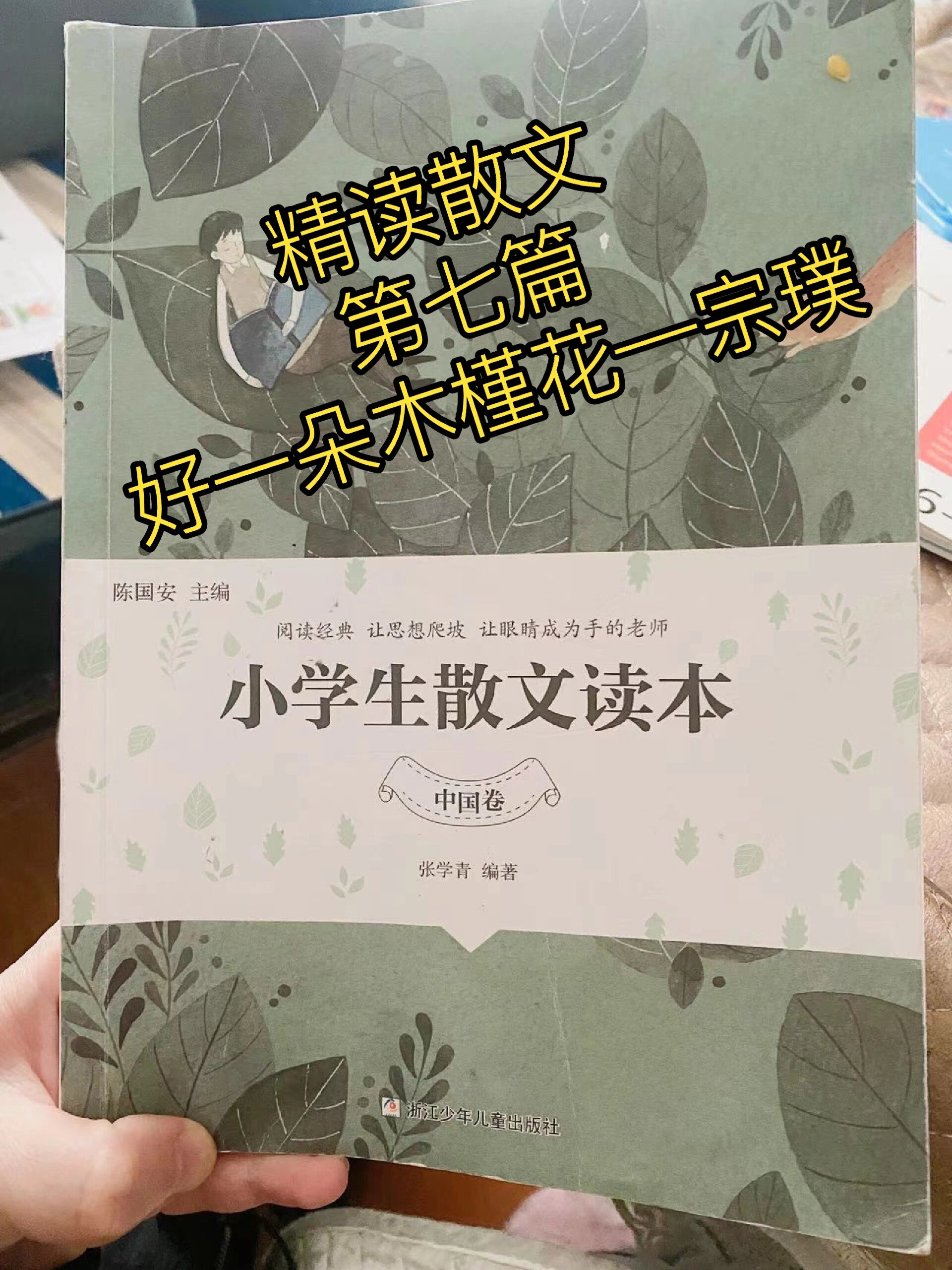 小学生散文读本精读第七篇 好一朵木槿花—宗璞