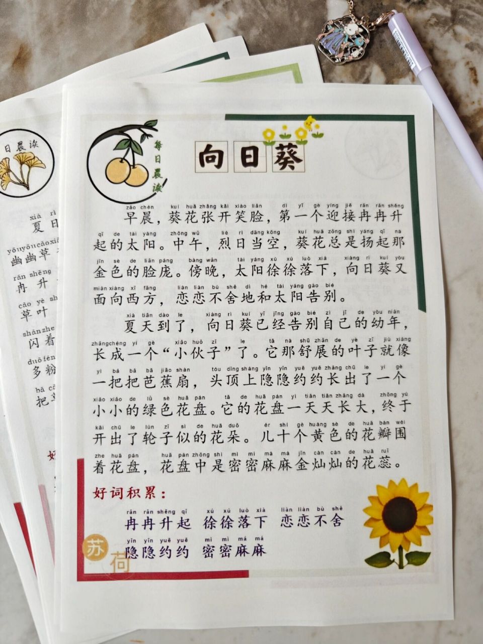 今日晨读,我的植物朋友《向日葵97》 坚持是一种优秀的品质,晨读