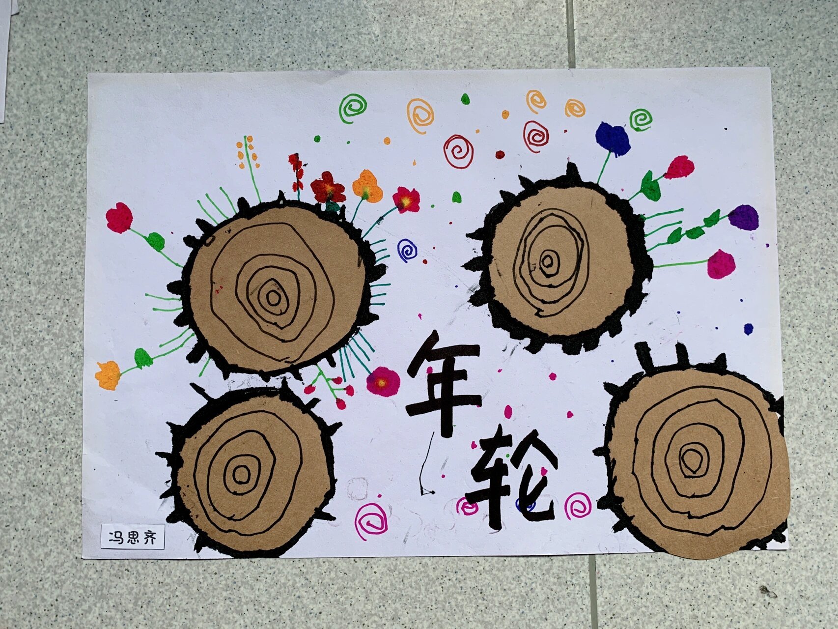 幼儿园 中班创意美术96 《年轮的秘密》 1,通过讲解,观察图片,了解