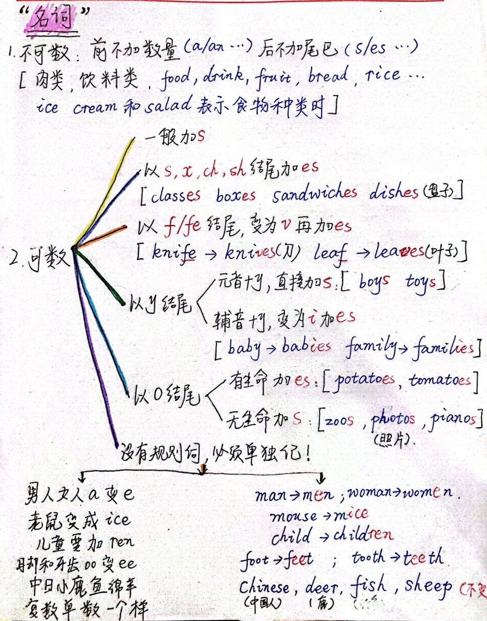 英语可数名词单复数变化思维导图 五年级准备系统讲下单复数,里面举的