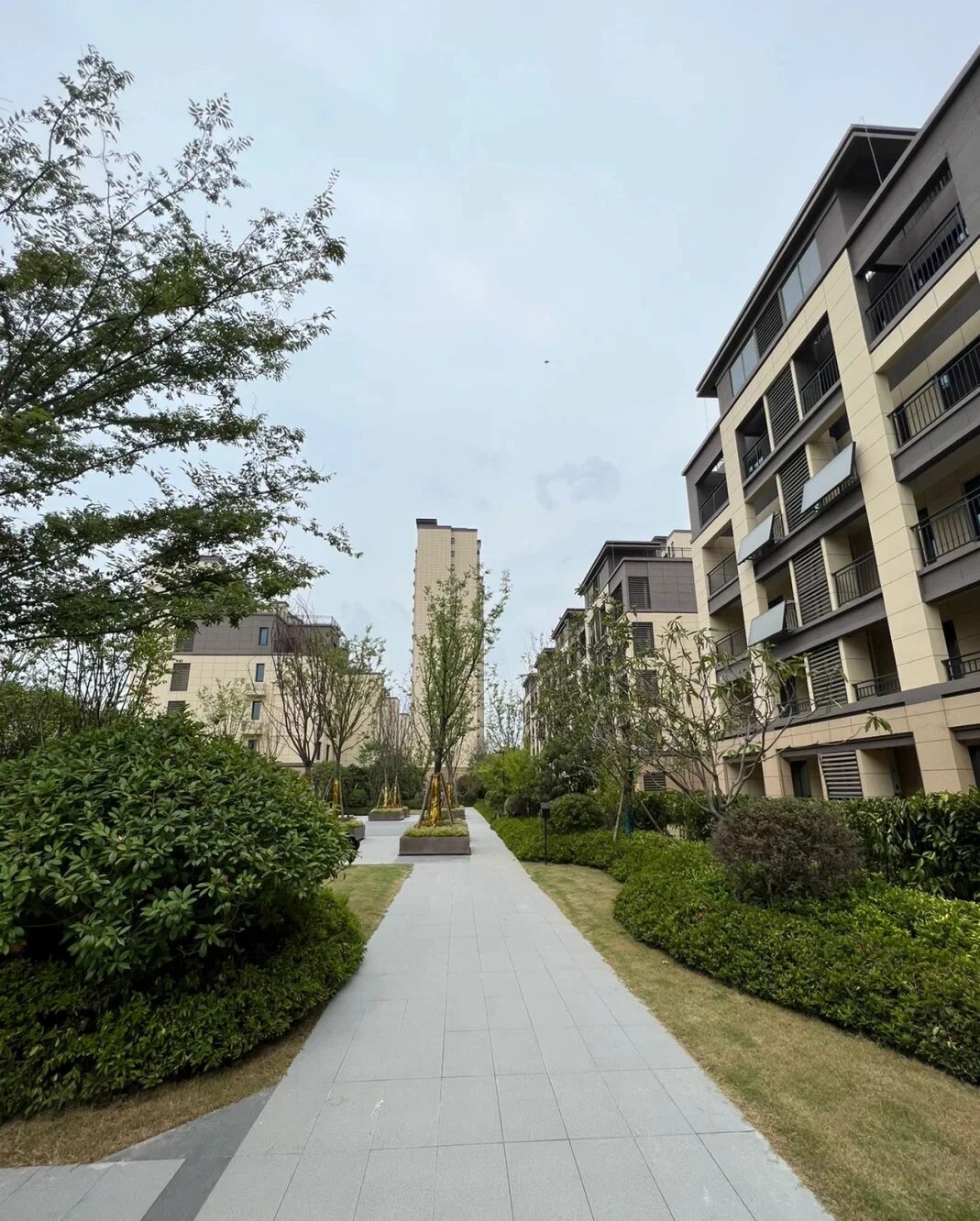 上叠中叠还是下叠呢71叠墅93 一般这种六层叠墅大家都会选择上或