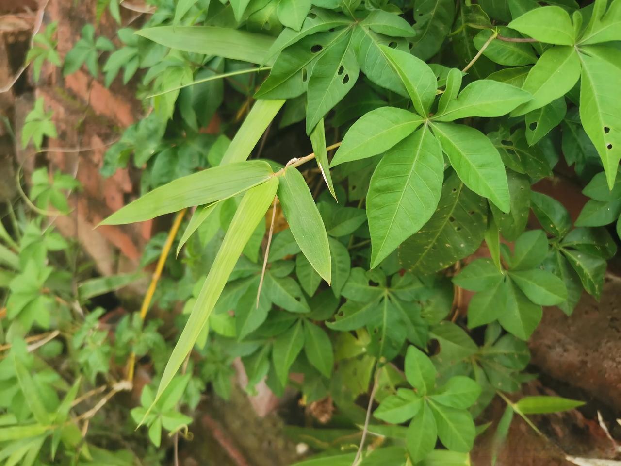 今天上班做错了一些东西,同事就在那大喊大叫的,然后