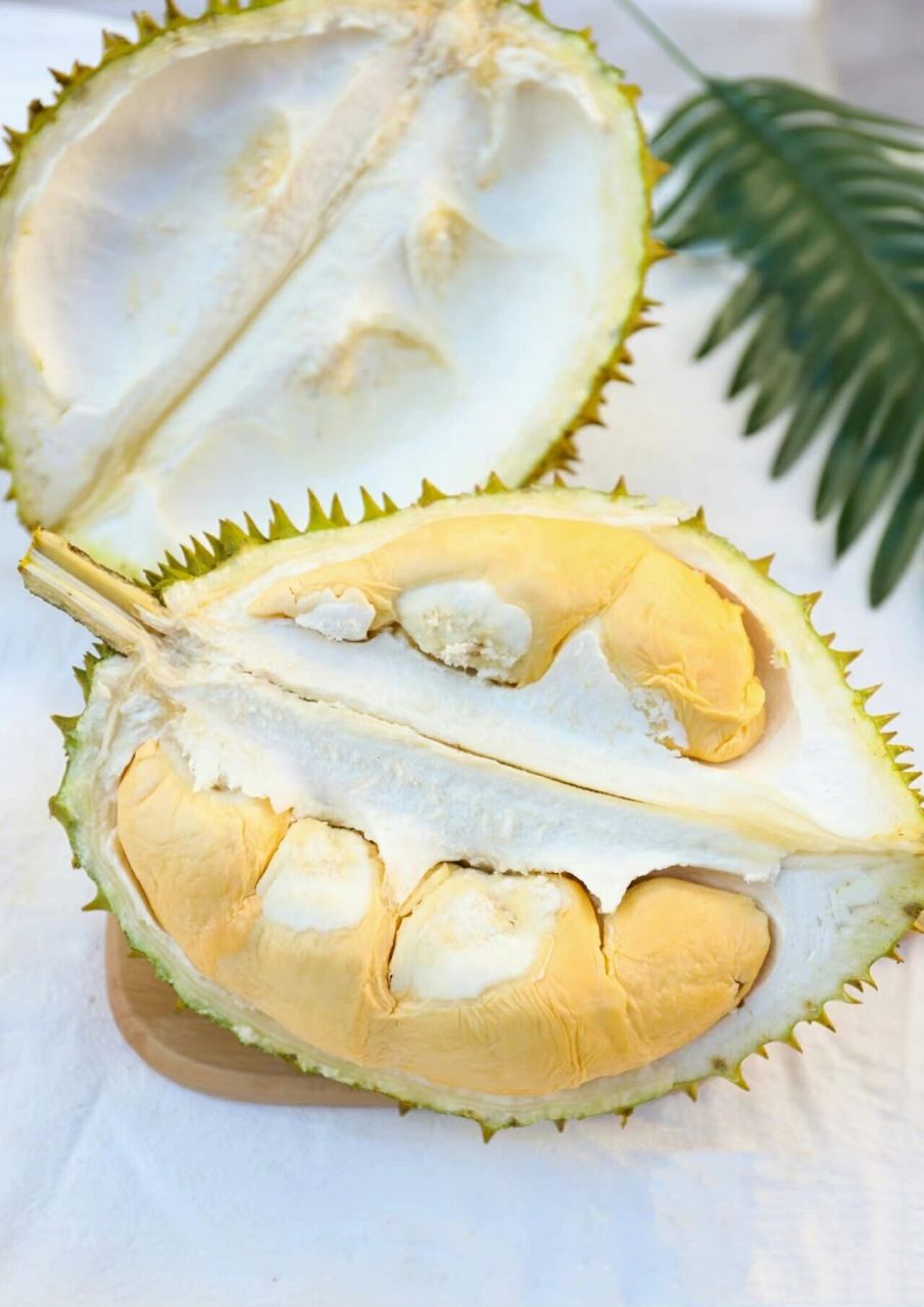 金枕榴莲和干尧榴莲选哪个?