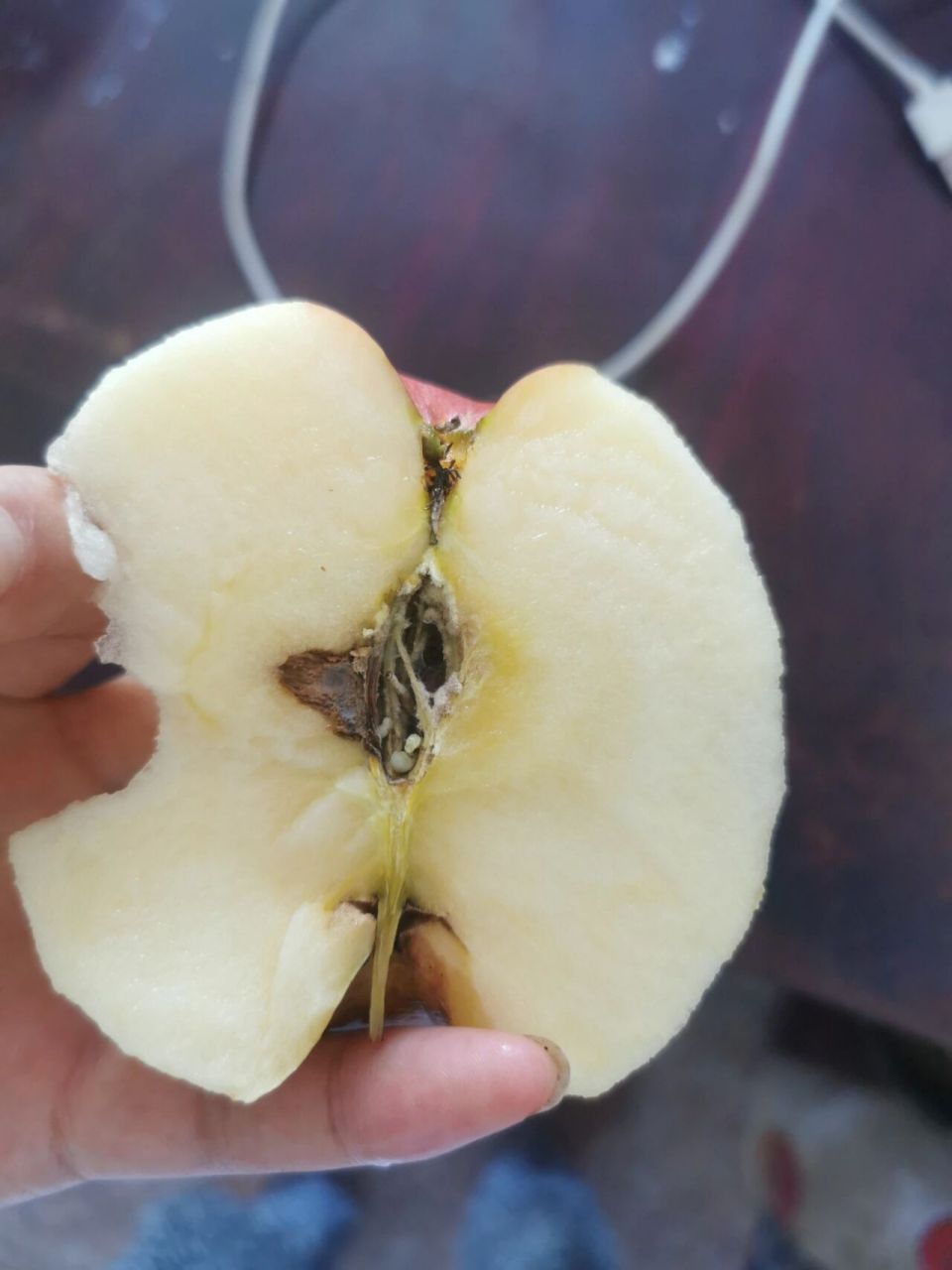 吃到烂心大苹果 你会怎么办?