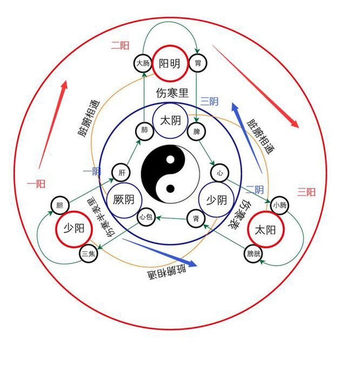 (手阳明大肠,足阳明胃经) 三阳:太阳,(手太阳小肠,足太阳膀胱经) 一阴