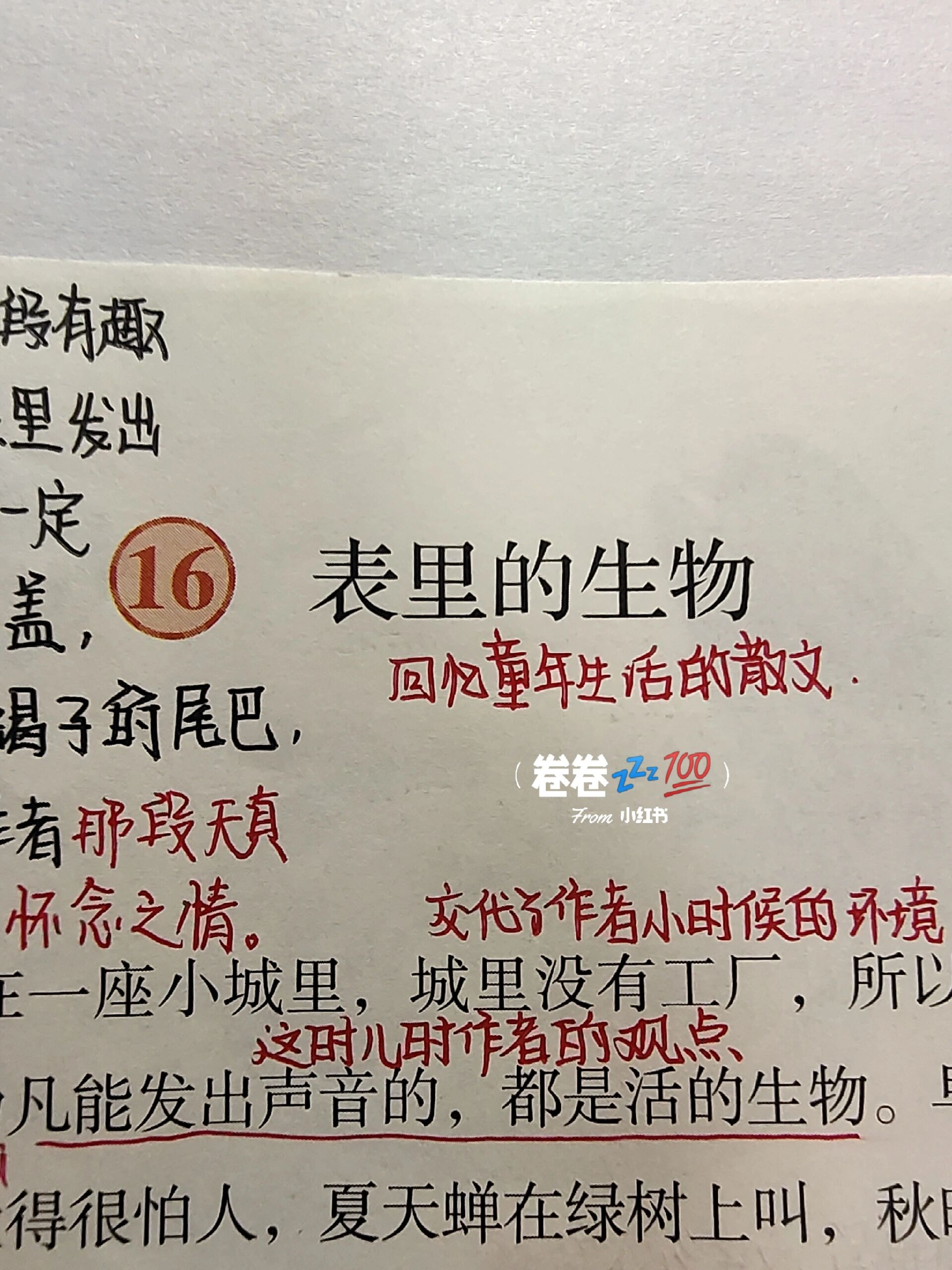 六下语文第十六课 表里的生物