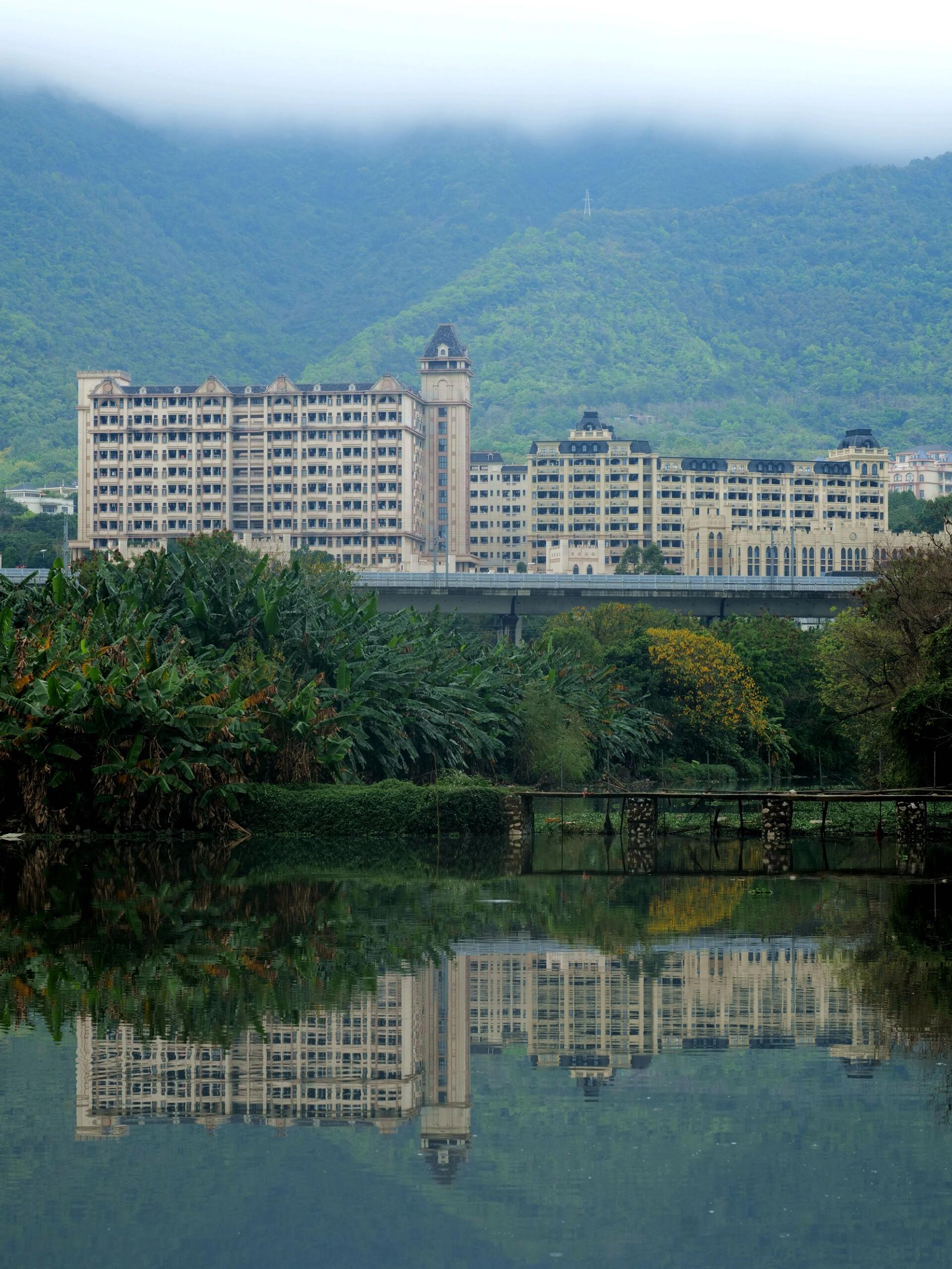 肇庆工商学院的春天影像