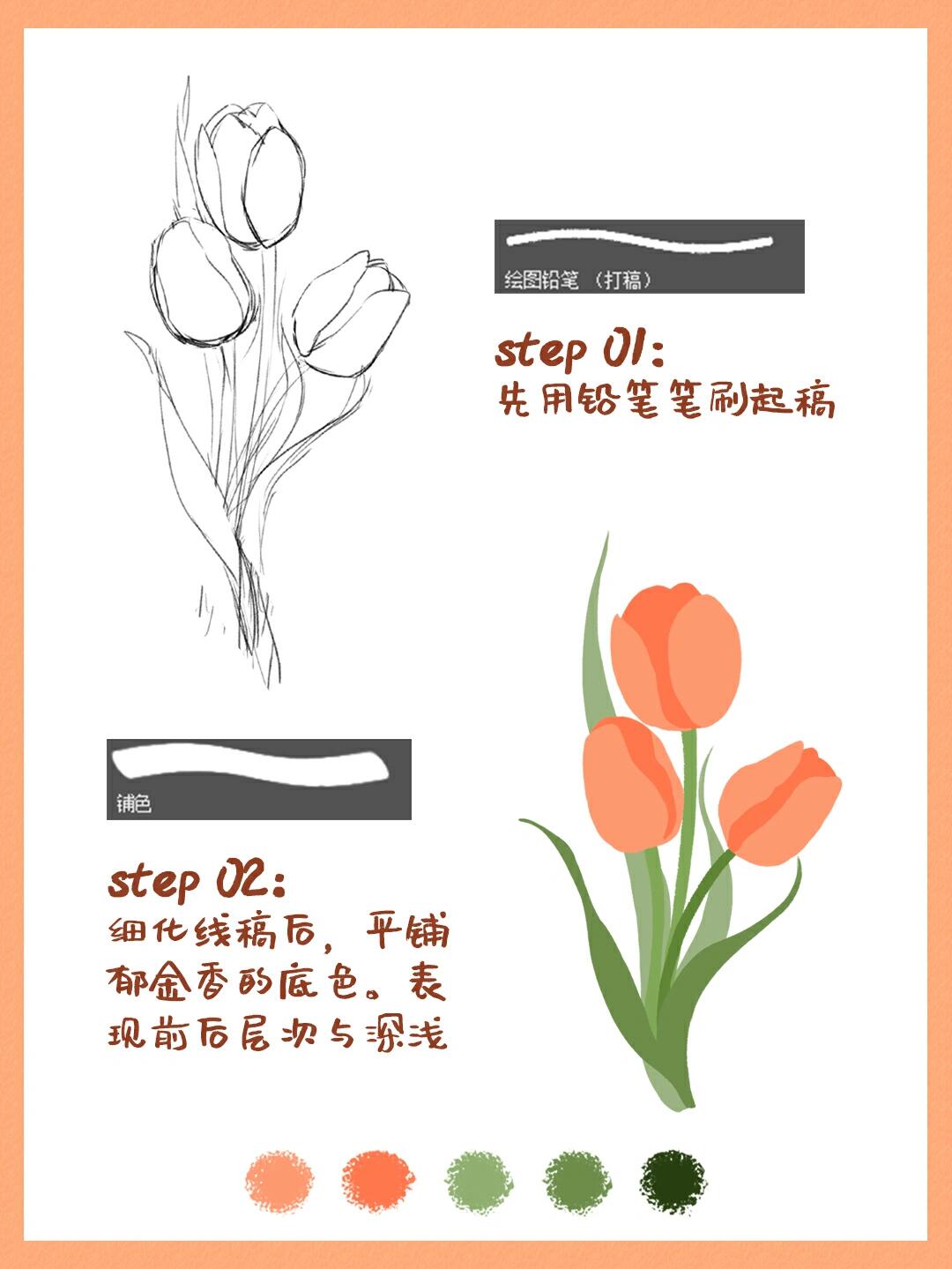 新手插画教程Ⅱ教你画郁金香